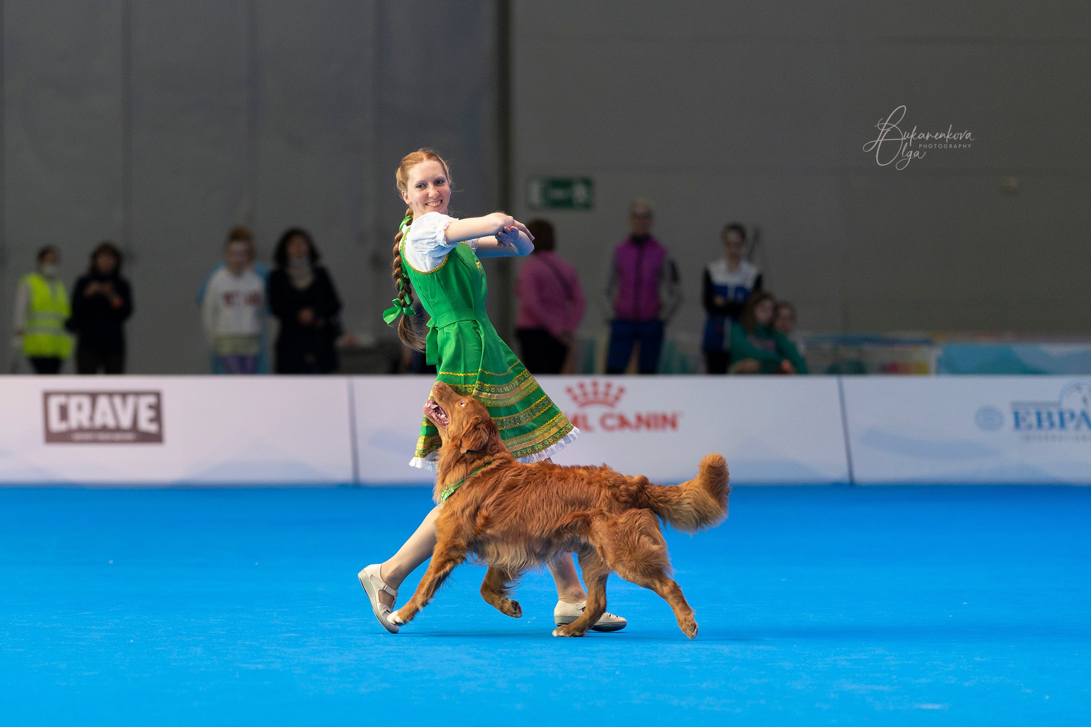Танцы. Фотограф анималист Ольга Луканенкова в Москве