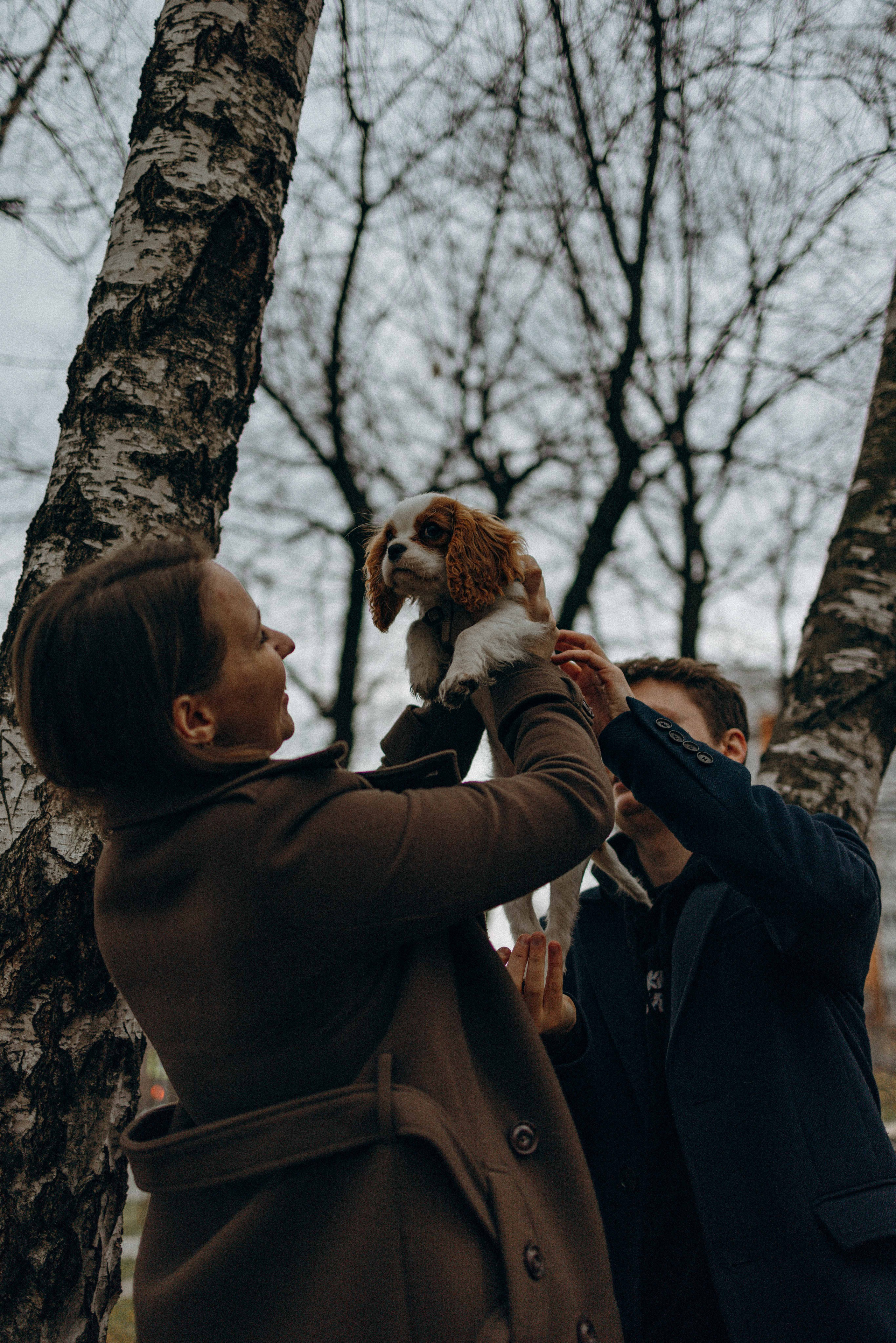 Юля и Кипр. Фотограф-анималист в Москве Лера Черноног