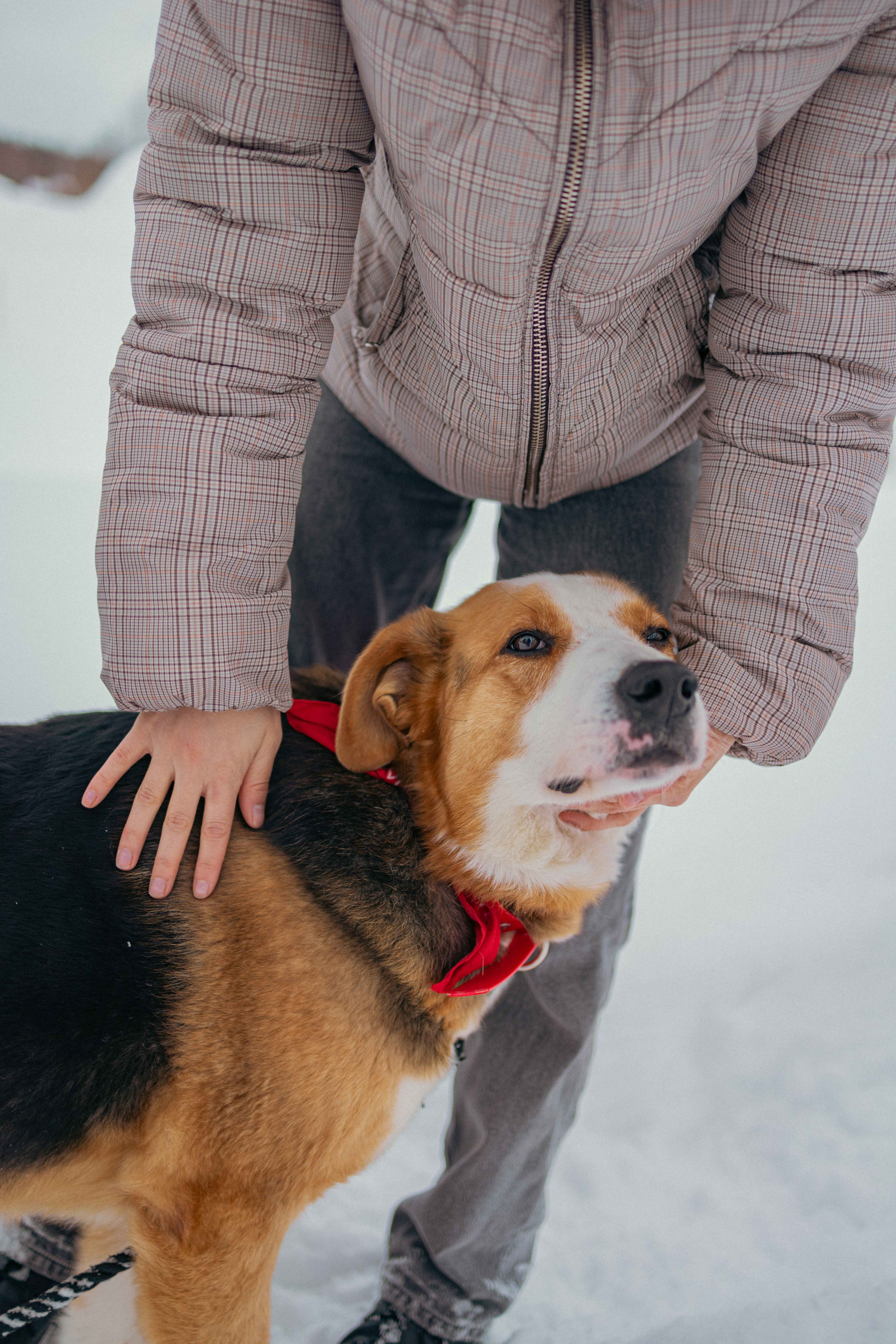 Петя. Фотограф-анималист в Москве Лера Черноног