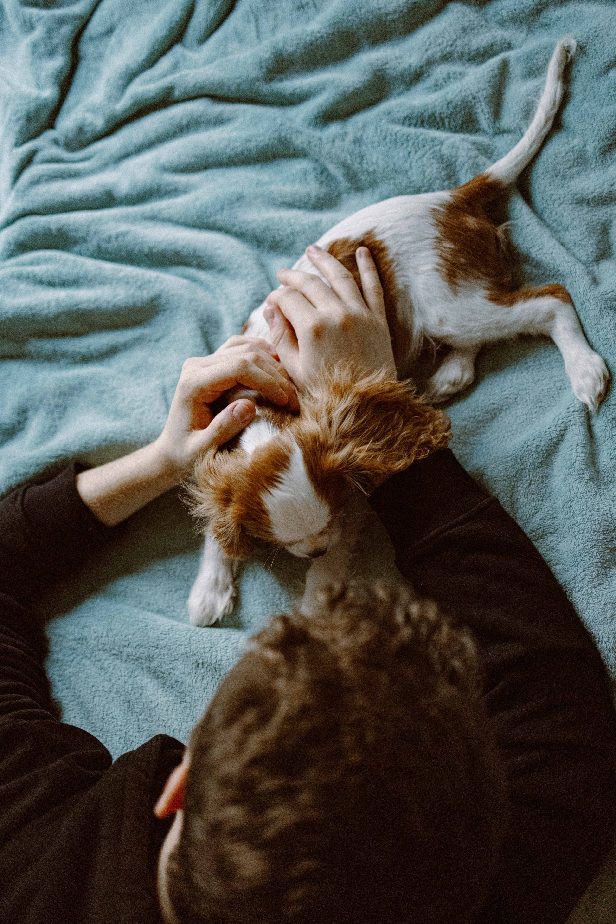 Юля и Кипр. Фотограф-анималист в Москве Лера Черноног