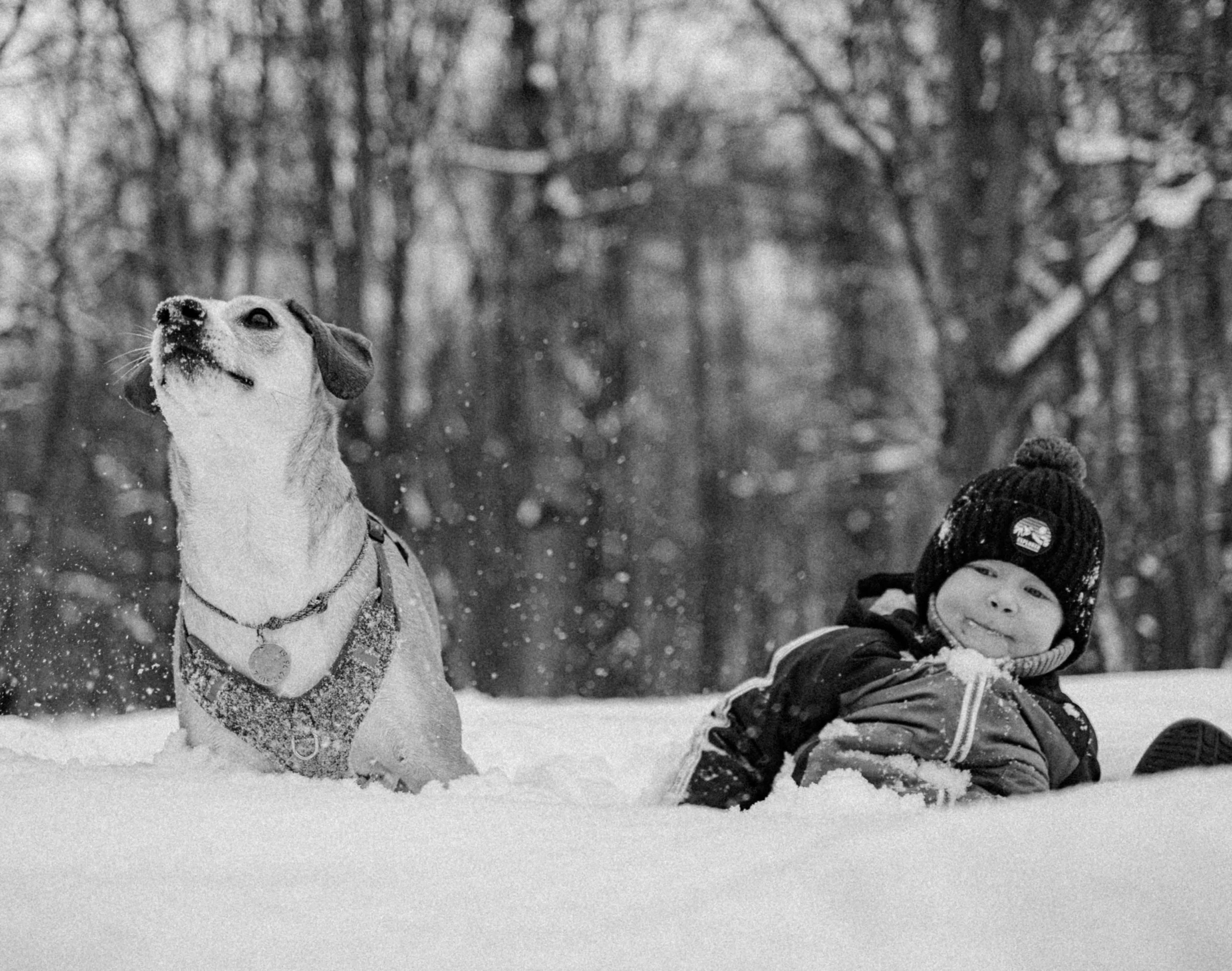 Свобода и ее семья. Фотограф-анималист в Москве Лера Черноног