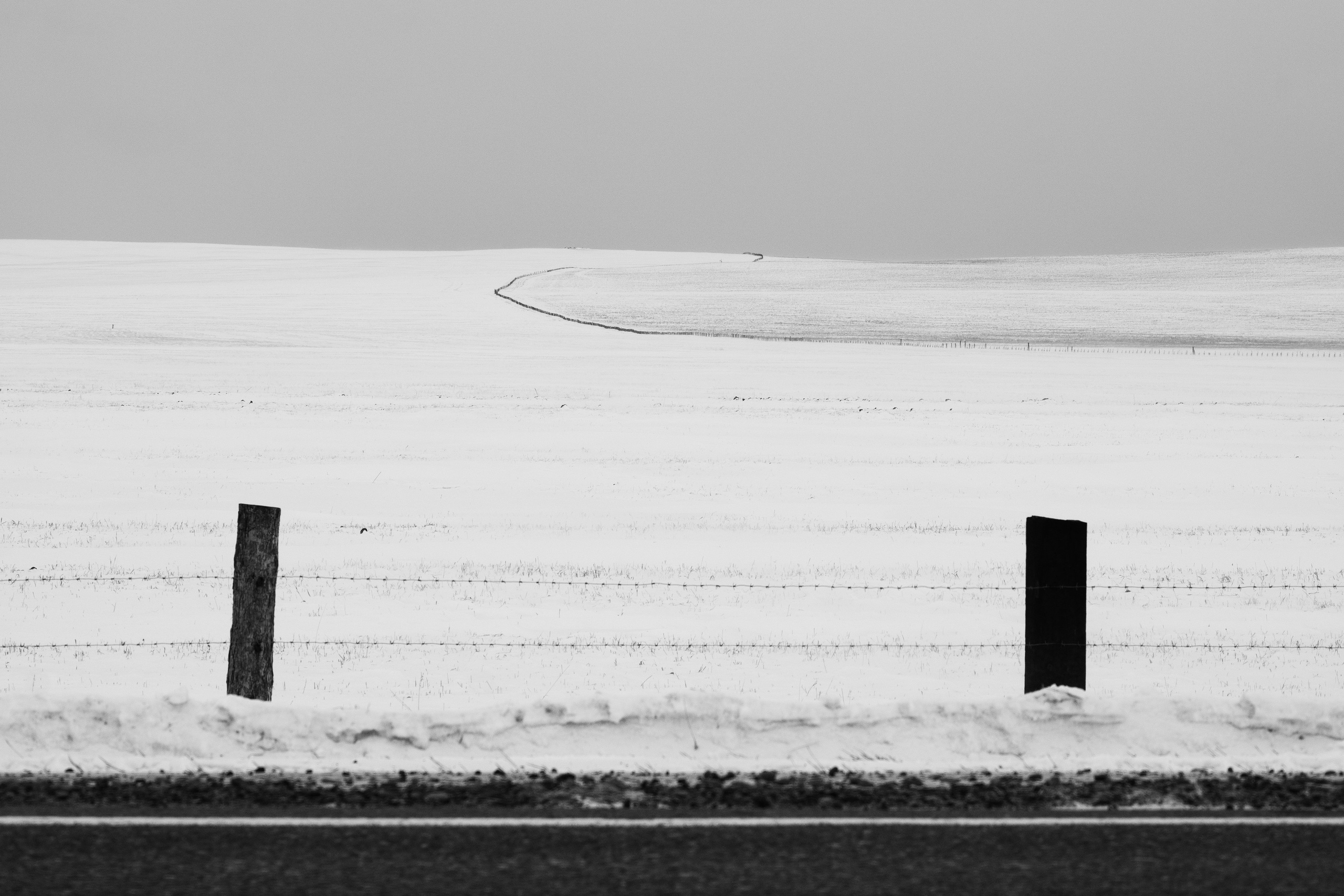 Silence. Irina Borodina