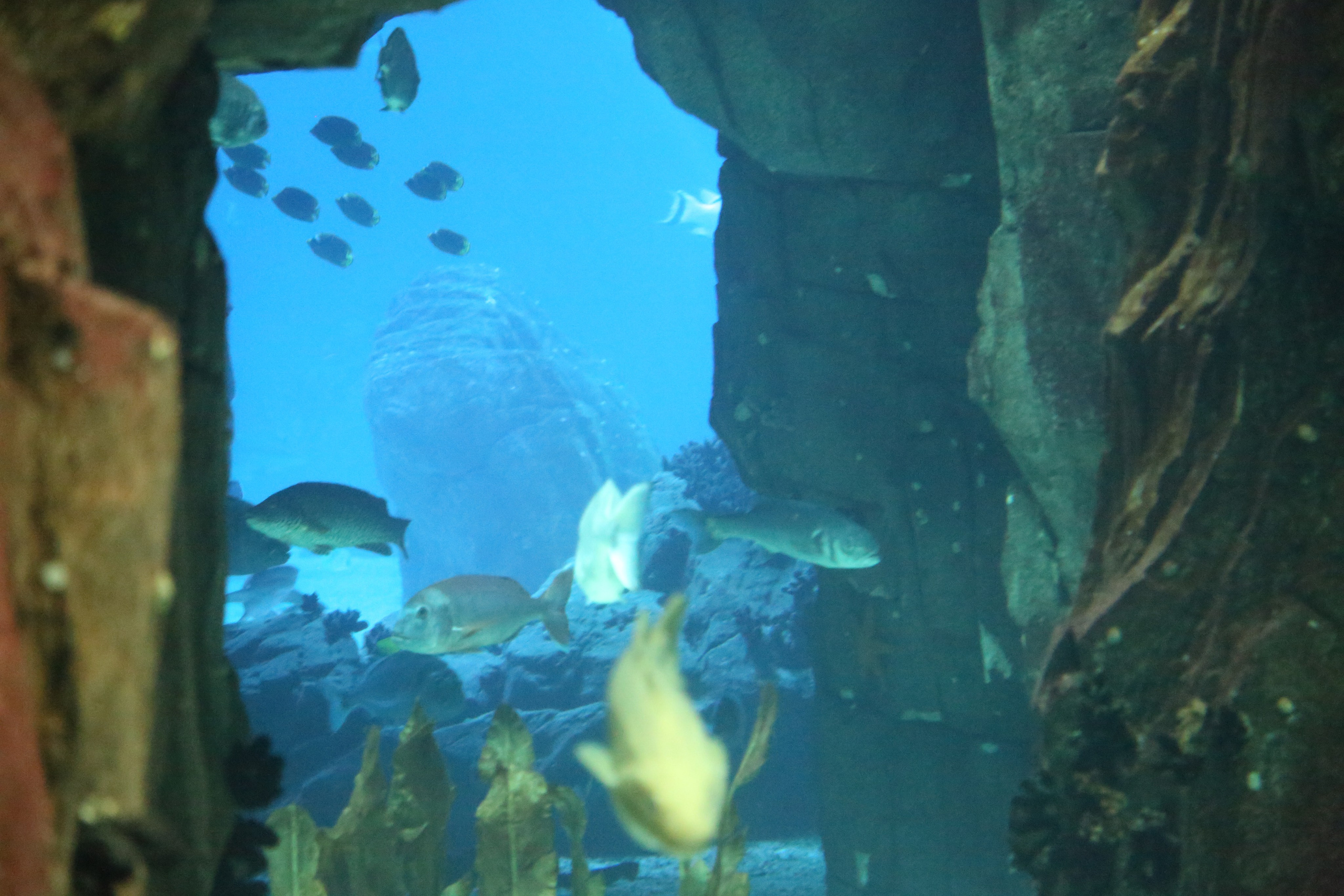 Lisbon, Portugal. Andrey Filippov Photographer