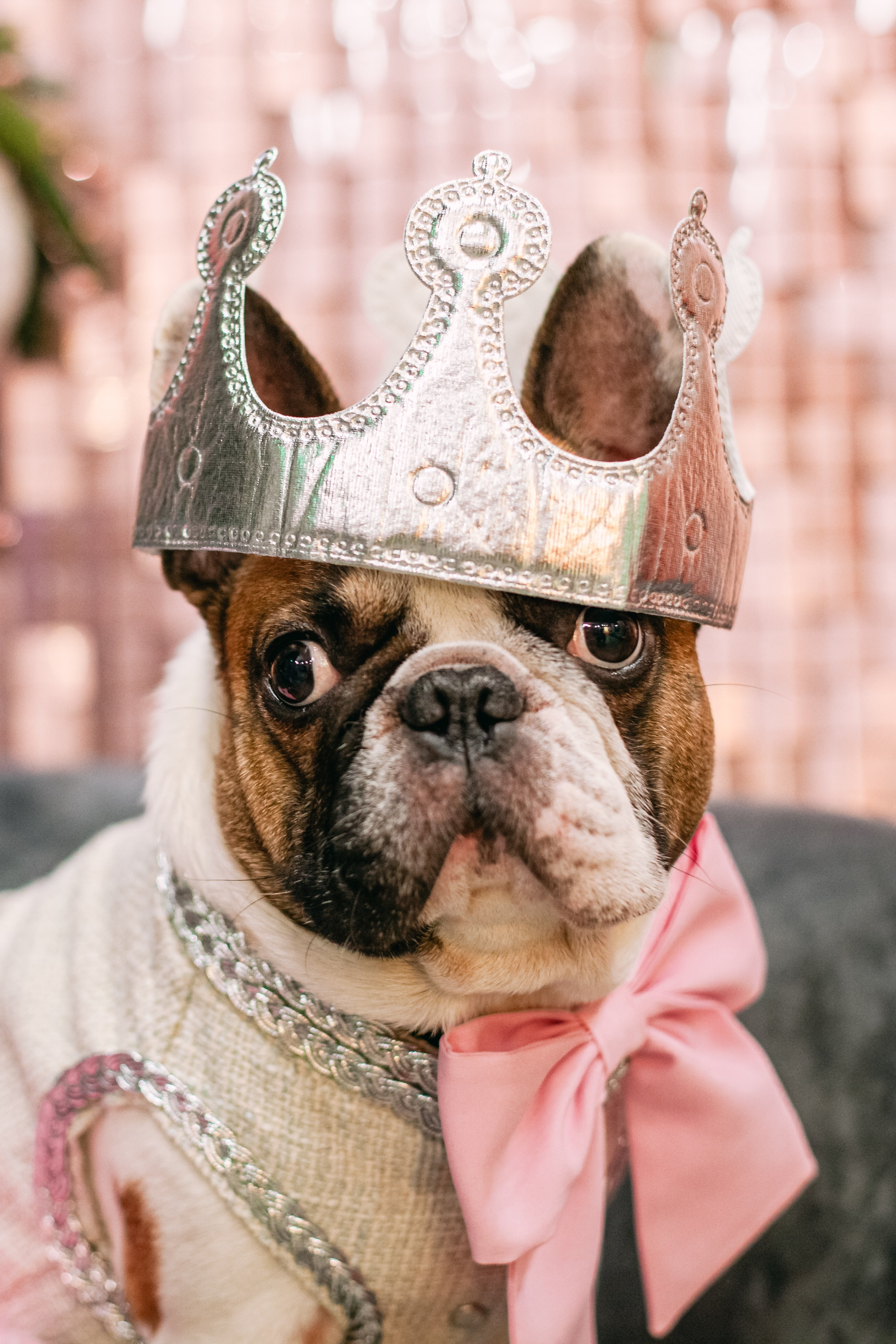 Бульёлка 2024. Фотограф-анималист Татьяна Степанова