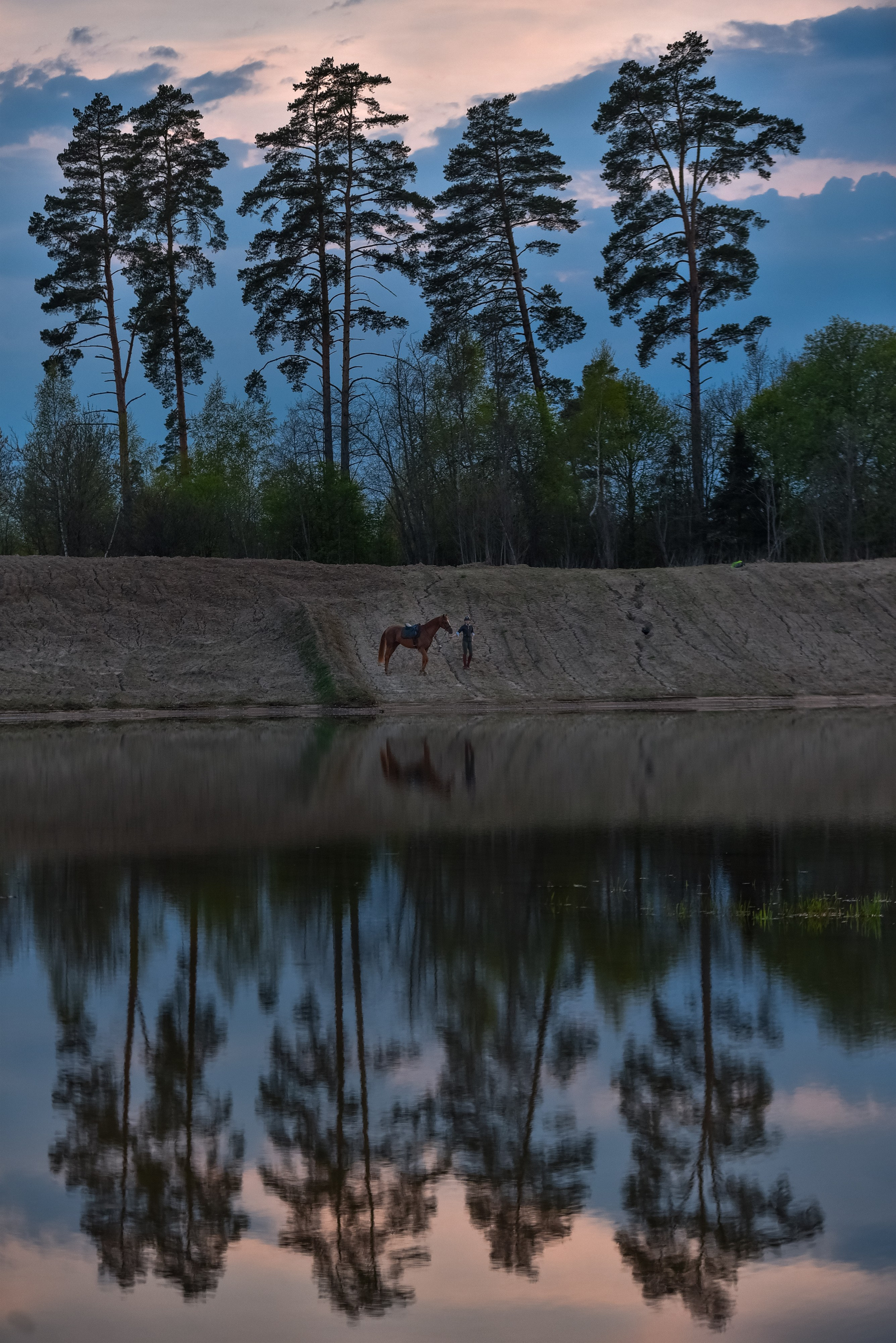 Природа. Съемки в стиле Goblicore и прочая нечисть. Конный фотограф из Москвы Ирина Бондаркова