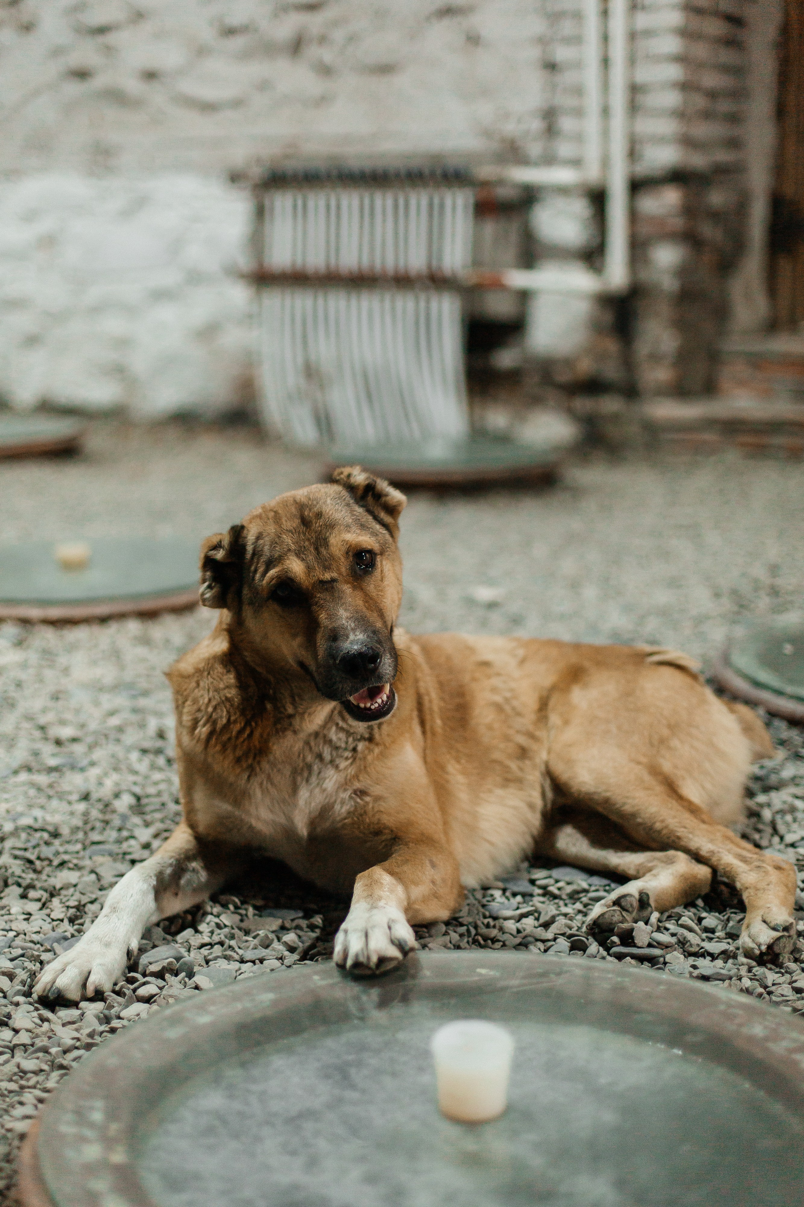 Тур в Грузию