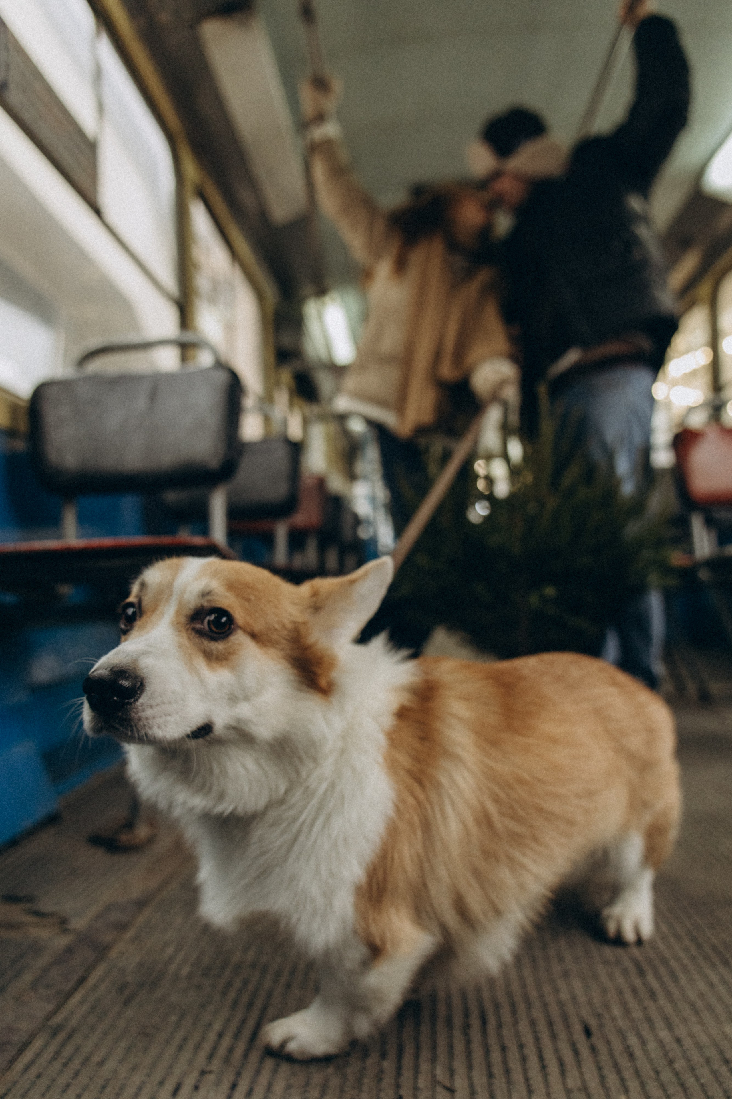 Николь и Богдан