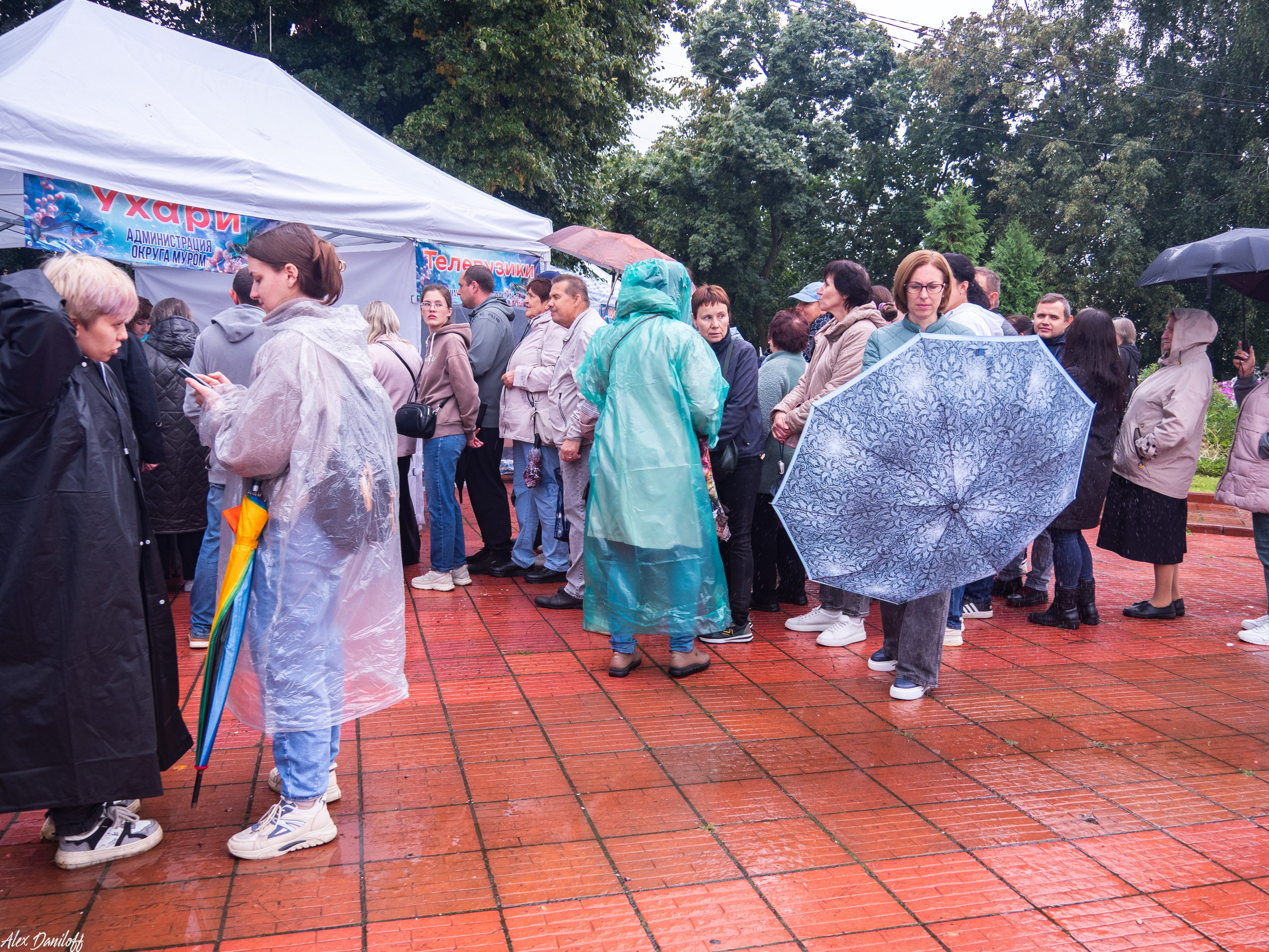 День города Муром 2025. Муром-Инфо. Новости культуры, образования, спорта в городе Муром