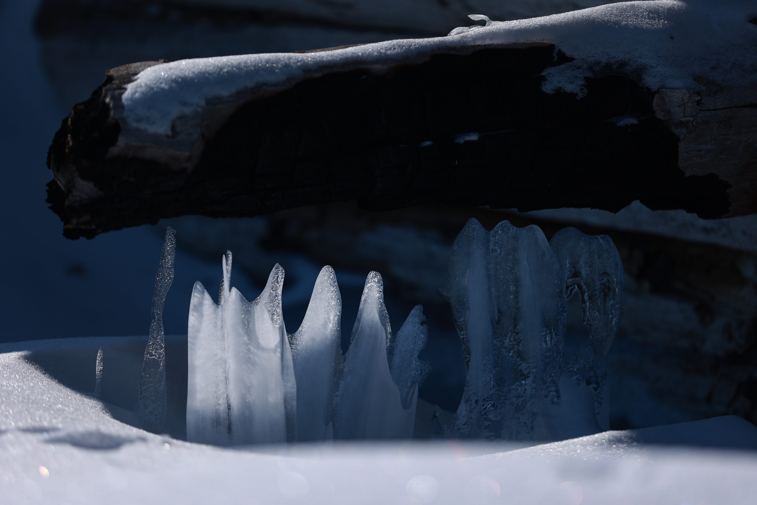 2022. Тащилин Сергей. Фотографии. Жизнь. Хобби