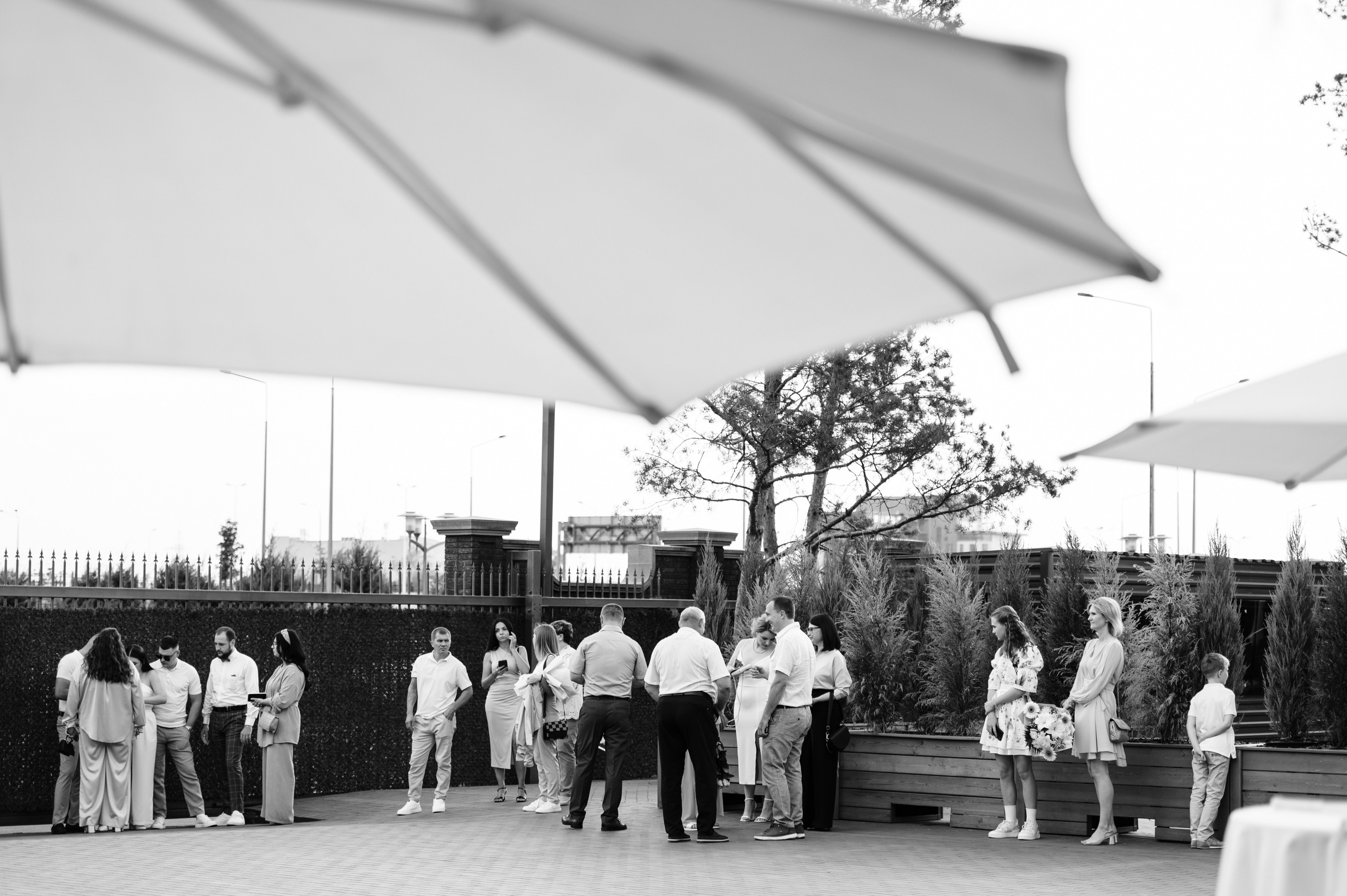 Вадим и Анета. Свадебный фотограф Ростов-на- Дону, Краснодар, Москва