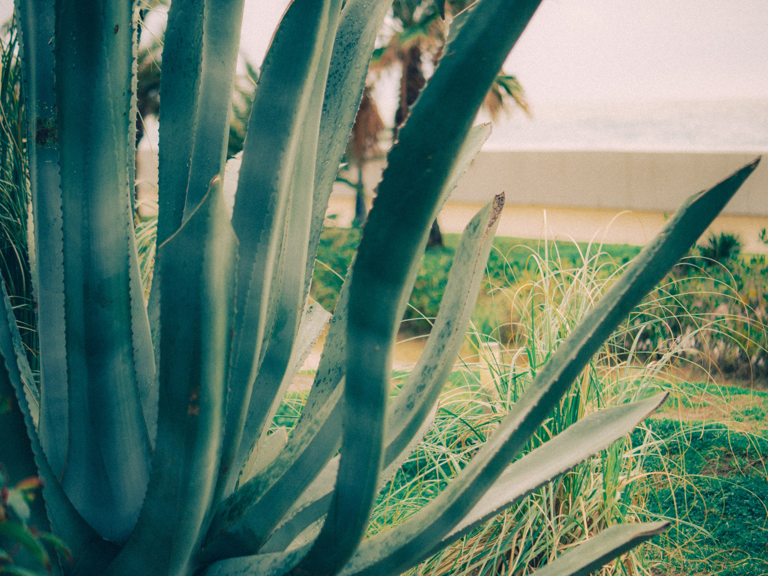Seaside. SHILOVA PHOTO. Шилова Екатерина. Фотограф. Москва