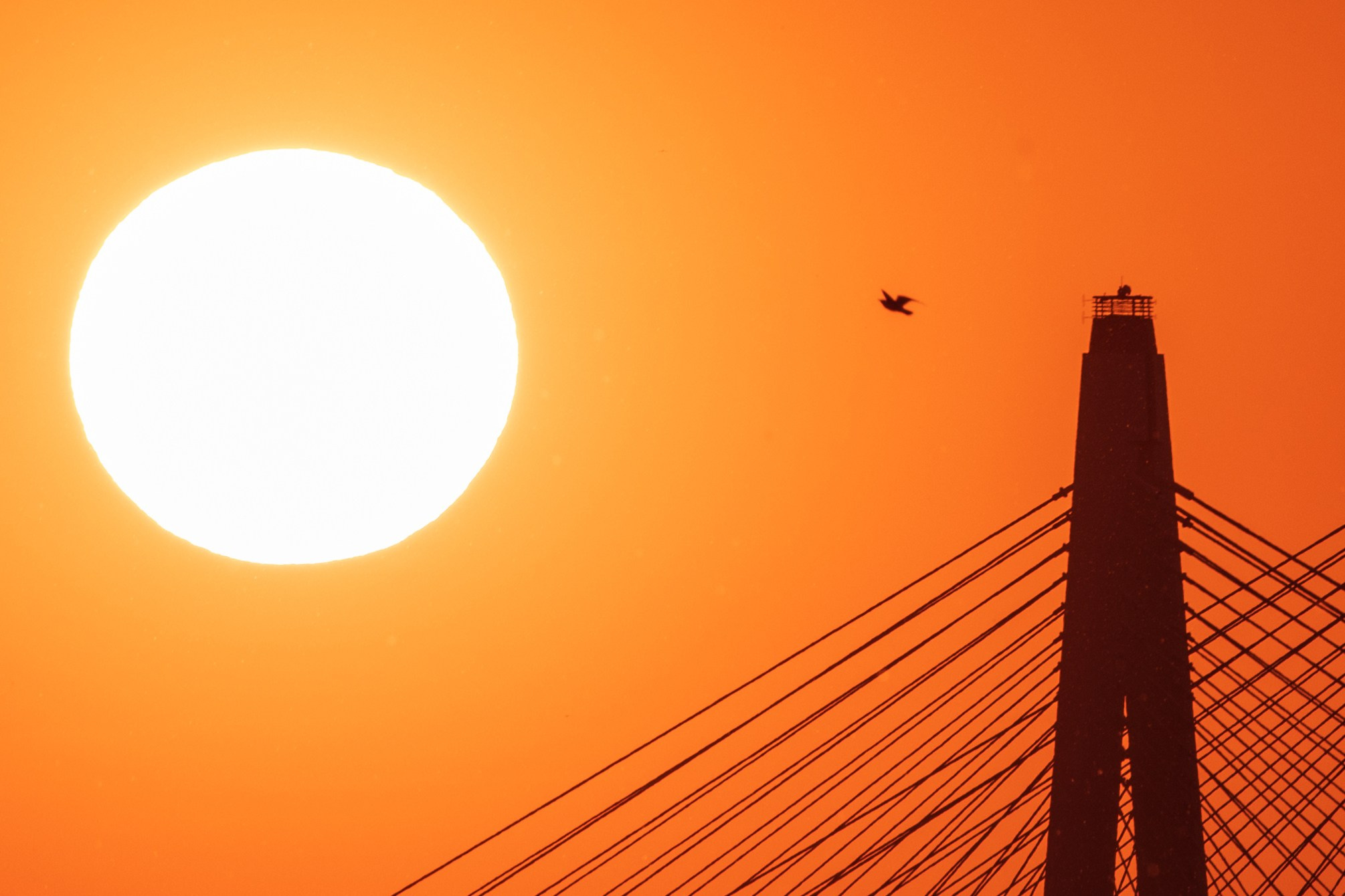 Пейзаж. Дмитрий Старков — фотограф