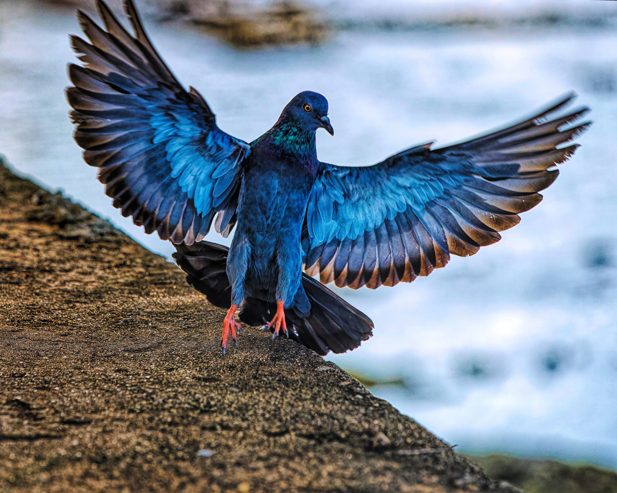 ПРИРОДА. Слепки времени. Фотографии природы и событий. Москва. Сергей Аллагулов