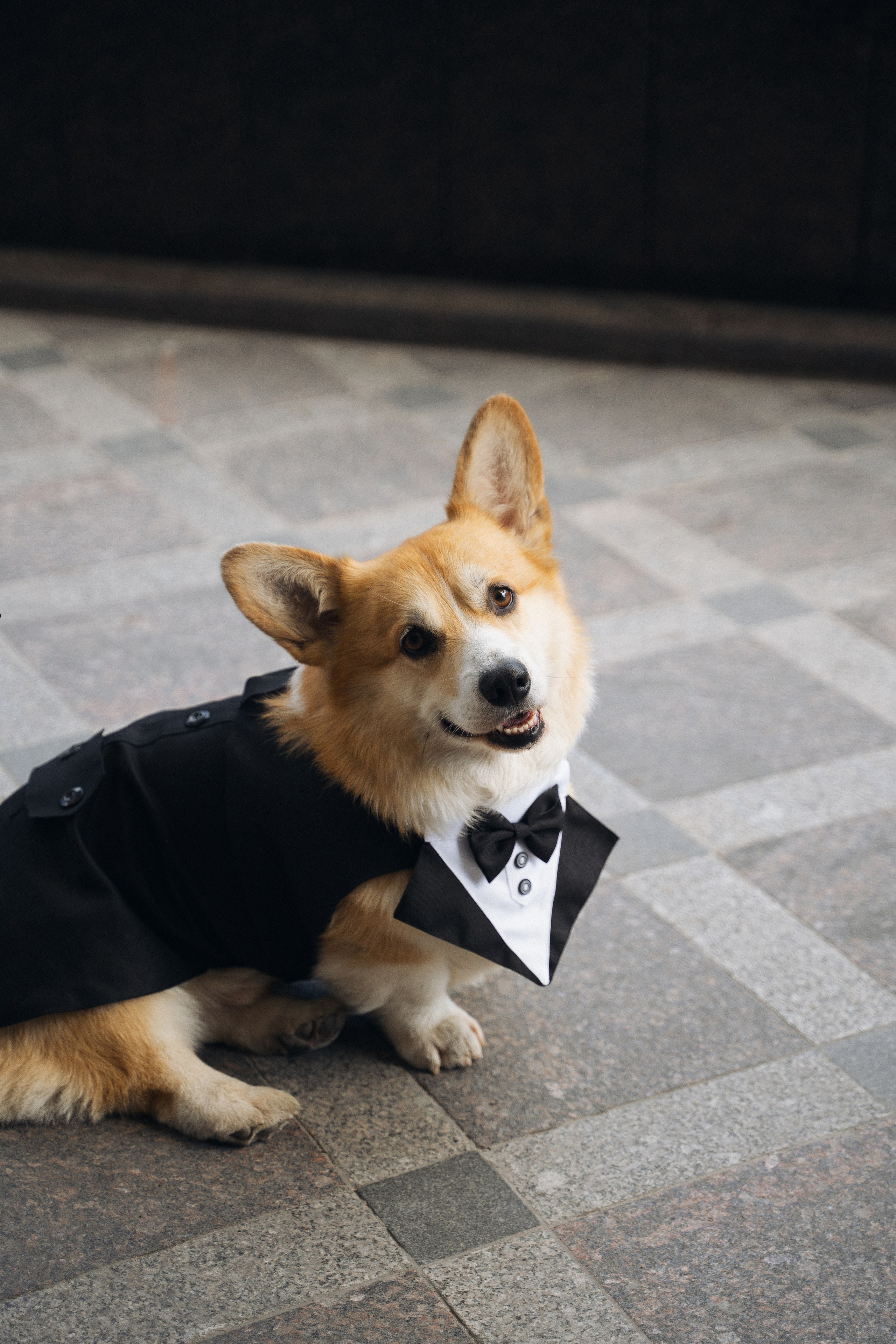 Любовь в деталях. Свадебный фотограф в Санкт-Петербурге