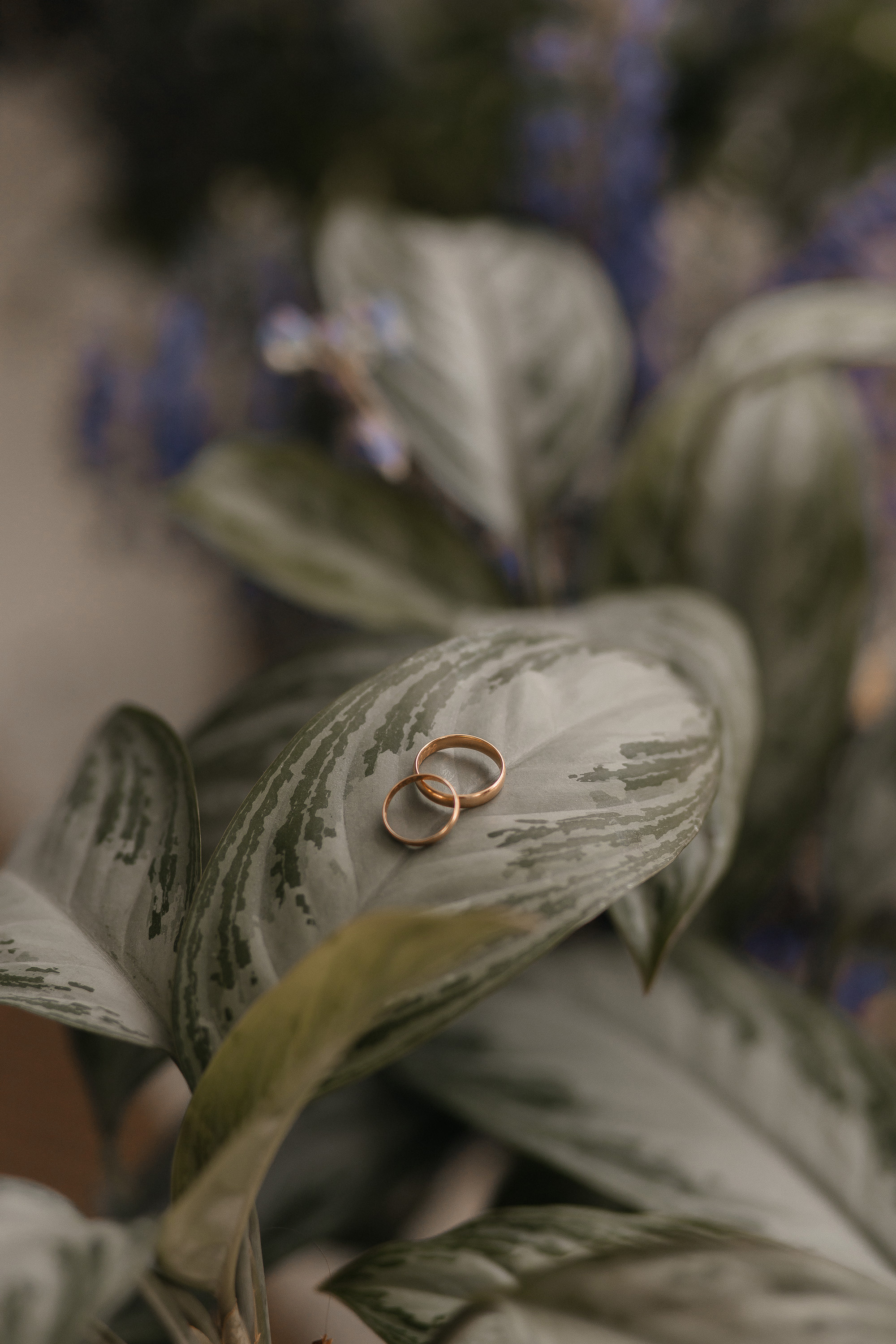 Александр и Юлия. Фотограф Денис Голубев