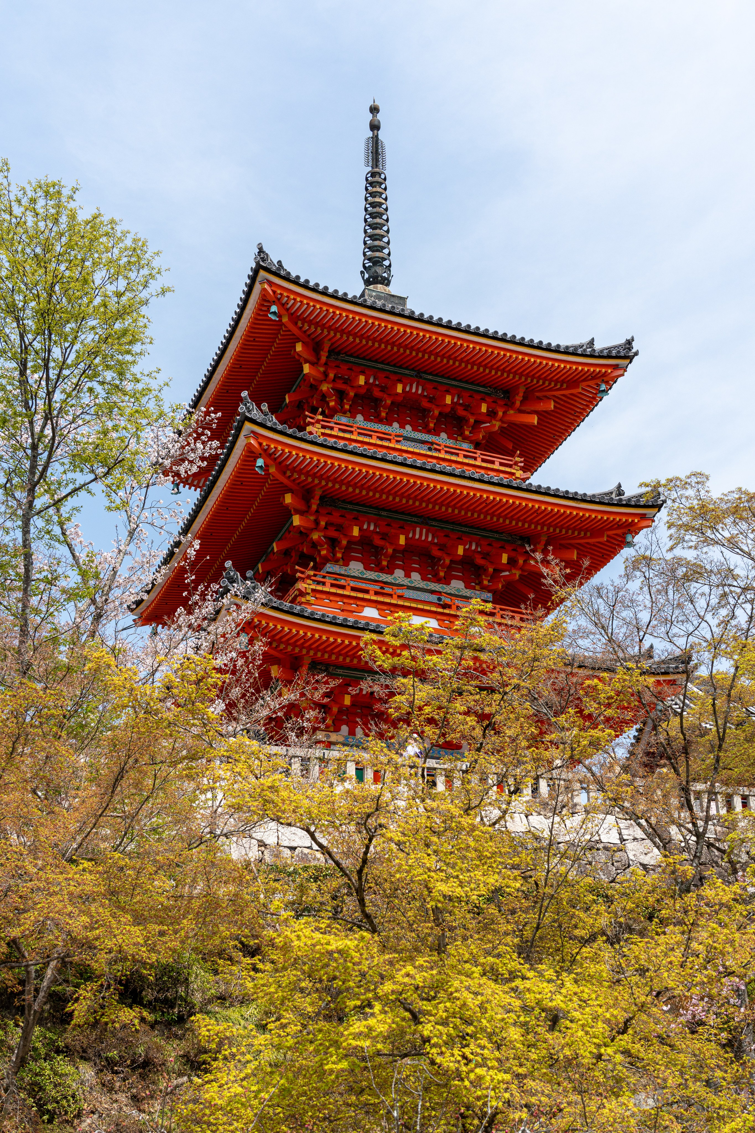 Япония, сакура. Творческие сьемки