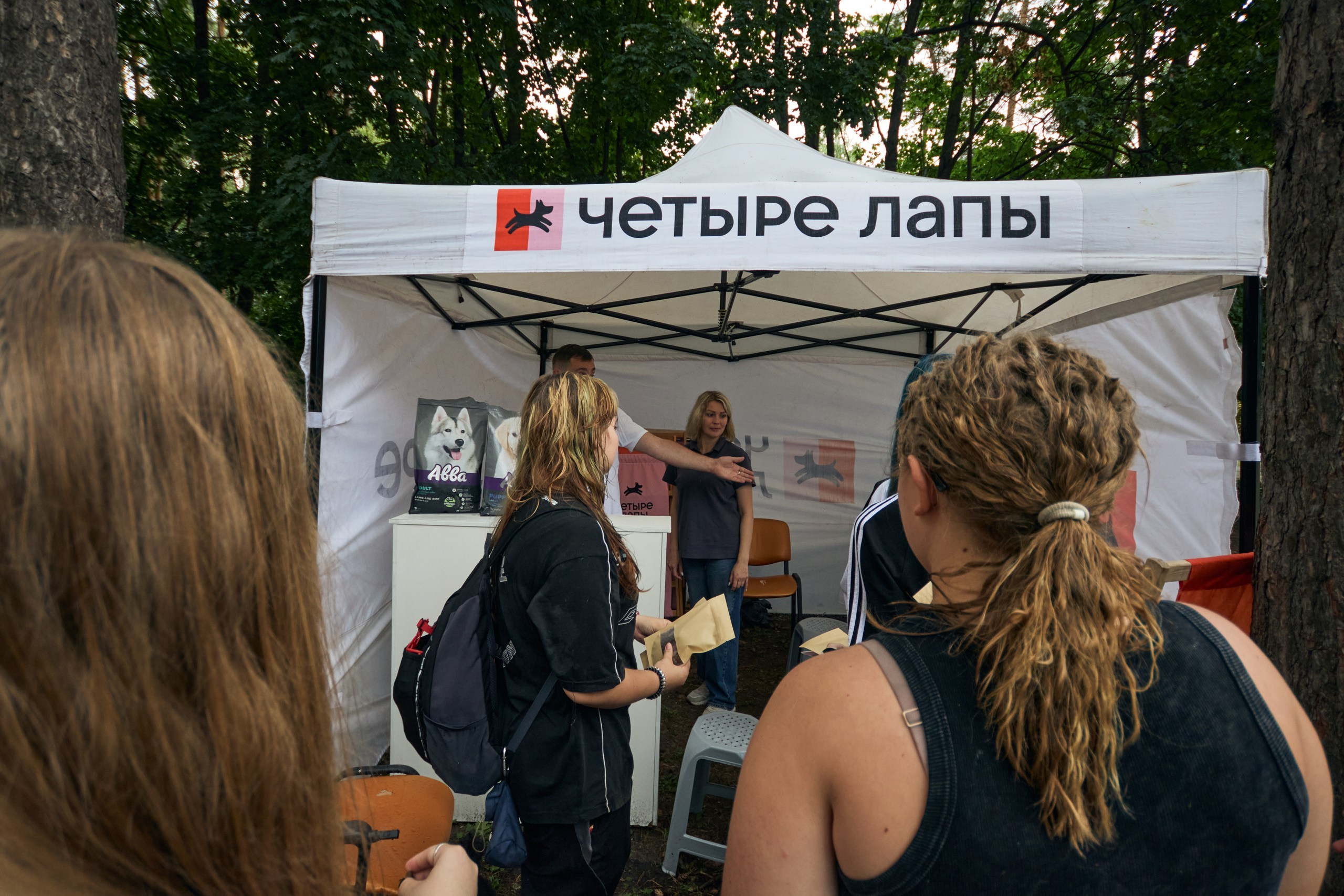 Четыре Лапы. Свадебный и репортажный фотограф Дмитрий Кононенко