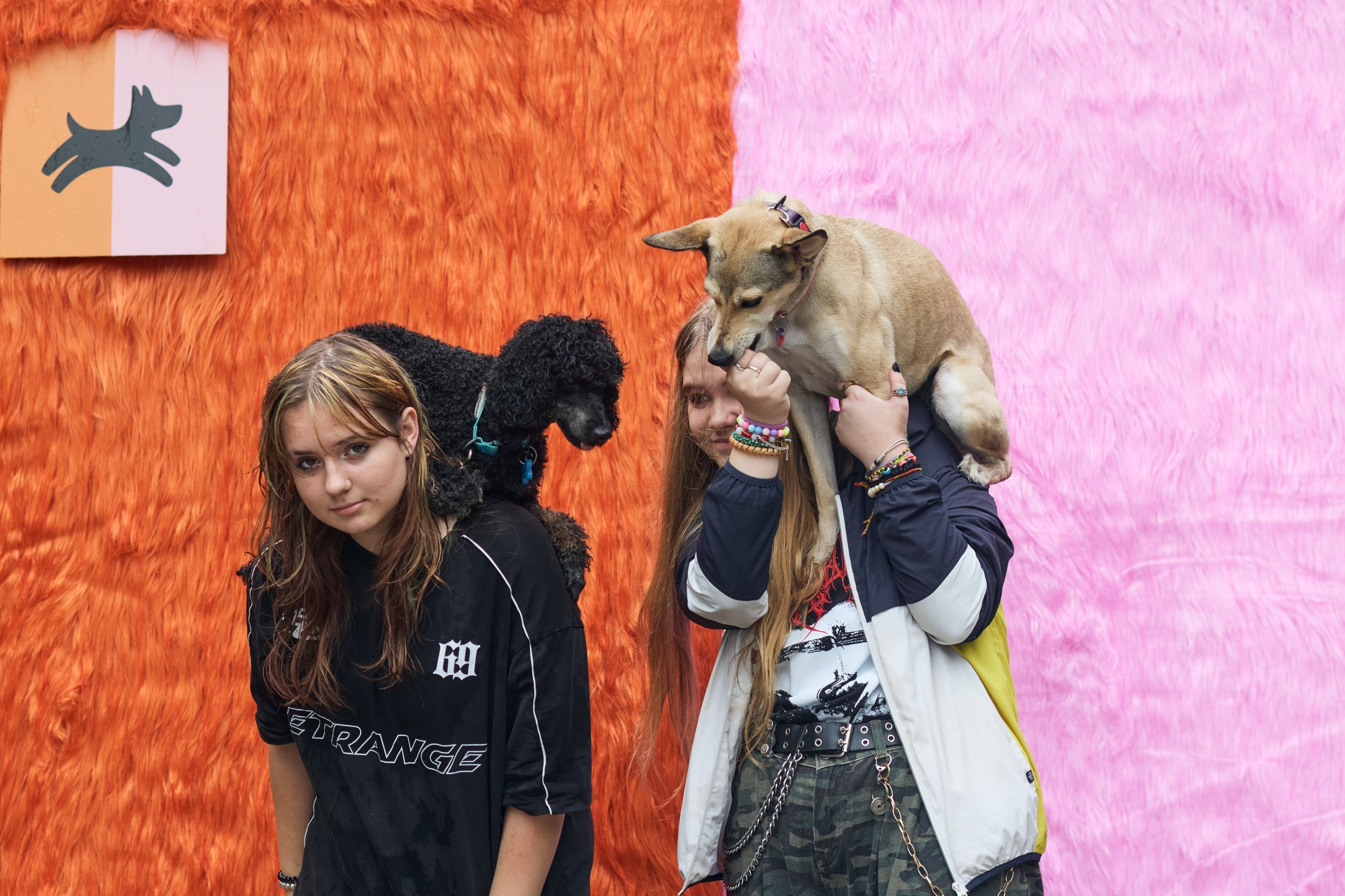 Четыре Лапы. Свадебный и репортажный фотограф Дмитрий Кононенко