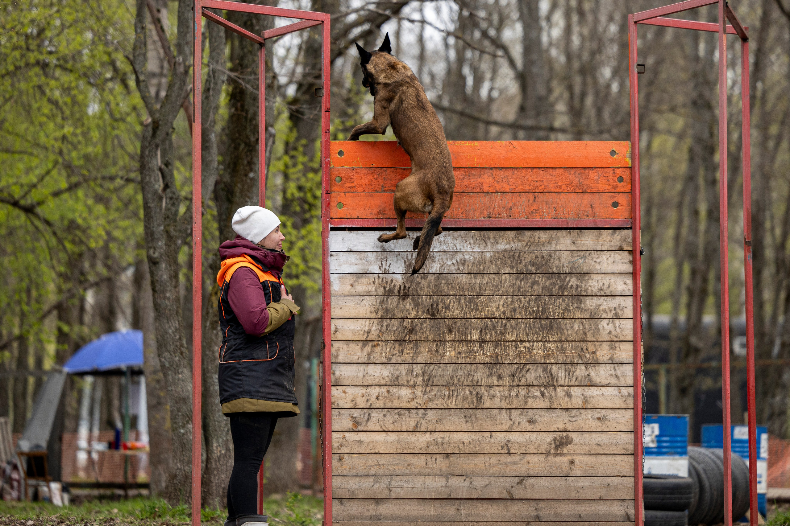 Квалификационные состязания по мондьорингу г. Вологда 11.05.24. Фотограф-анималист Анна Маринич