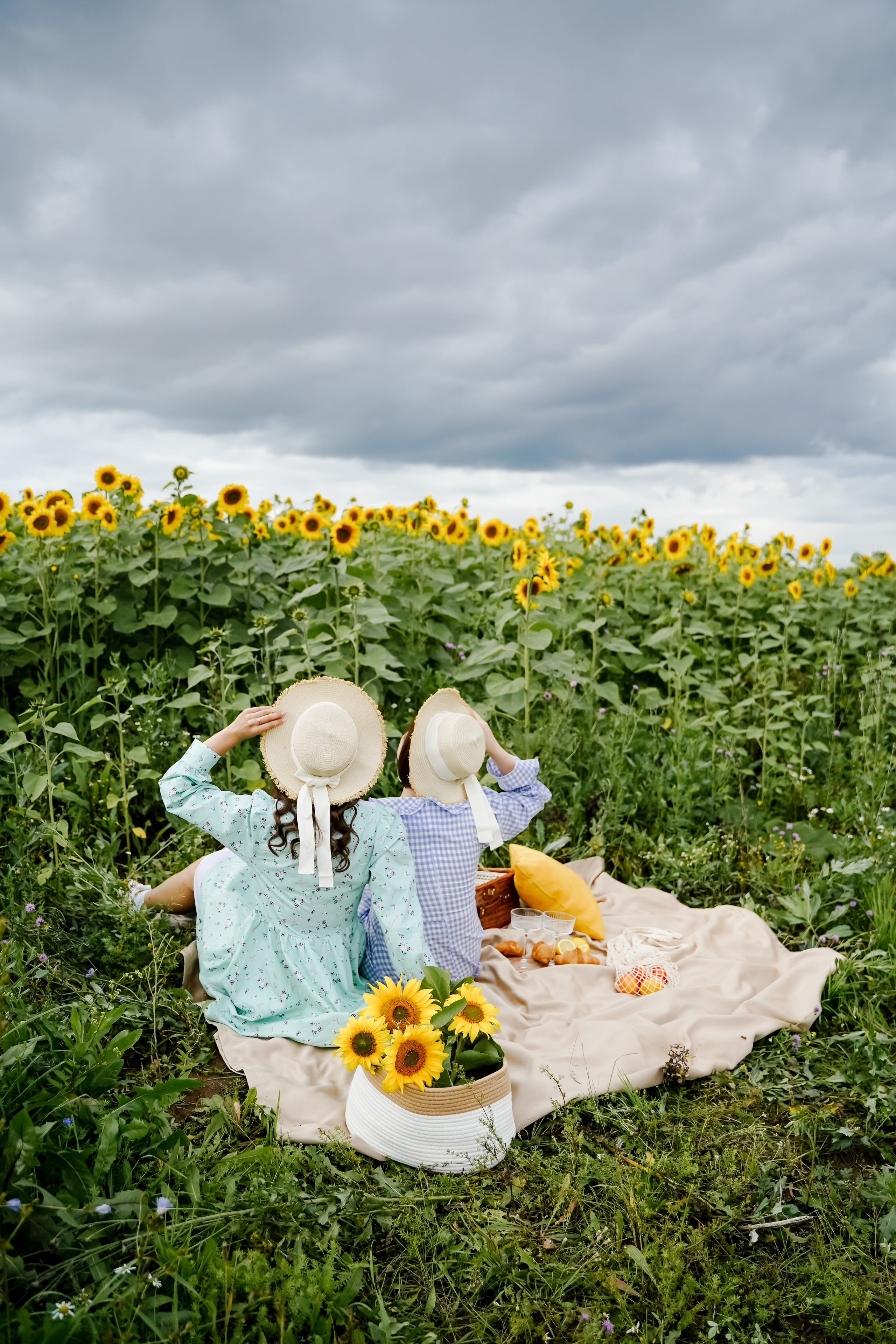 Подсолнухи. Бирск