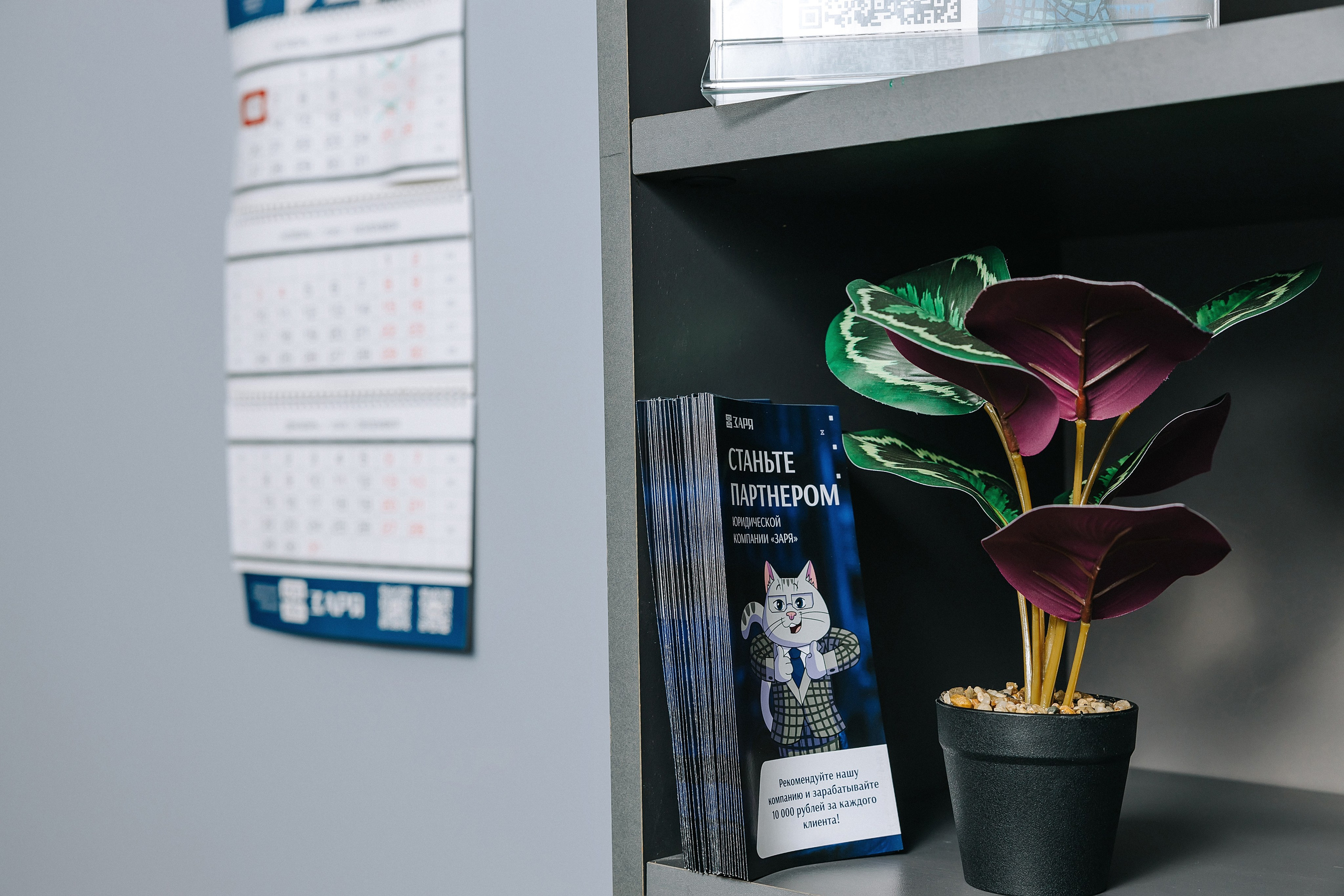 Юридическая компания «Заря». Александр Антонов. Профессиональный свадебный, репортажный фотограф в Москве, Подольске. Фото+Видео на любой праздник