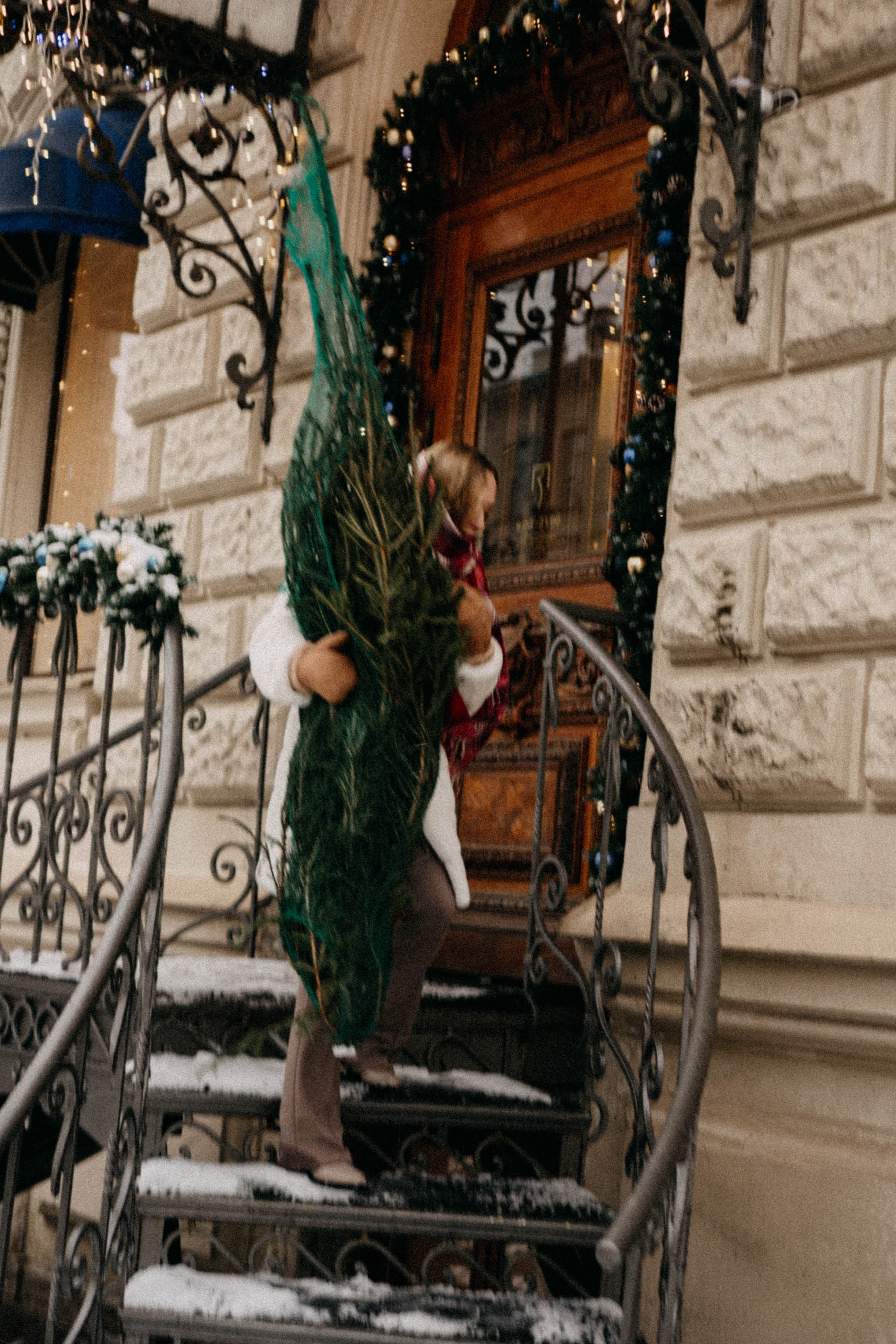 Новогодняя. Профессиональный фотограф, Санкт-Петербург — Виктория Богомолова