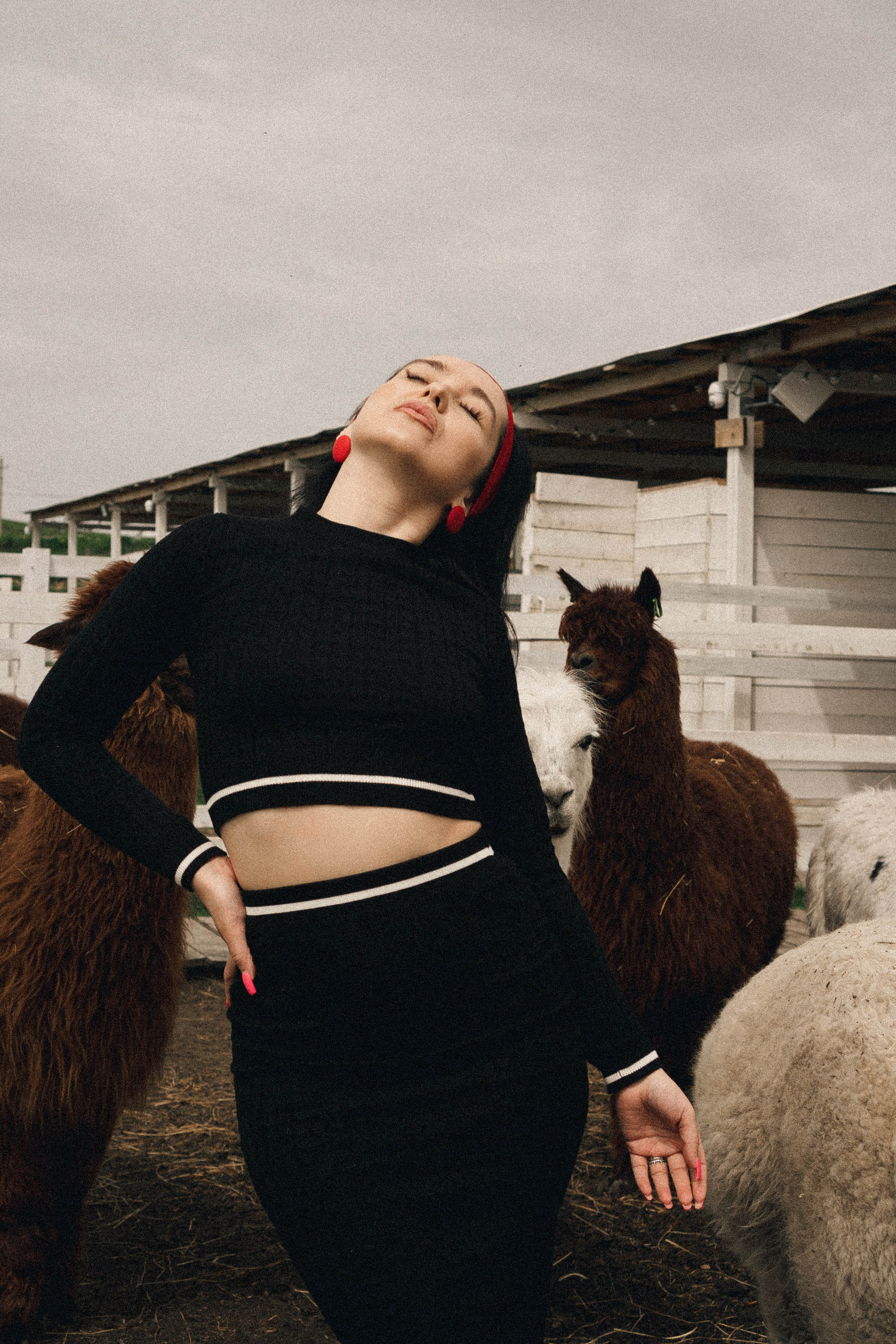 Ферма Альпак. Профессиональный фотограф, Санкт-Петербург — Виктория Богомолова