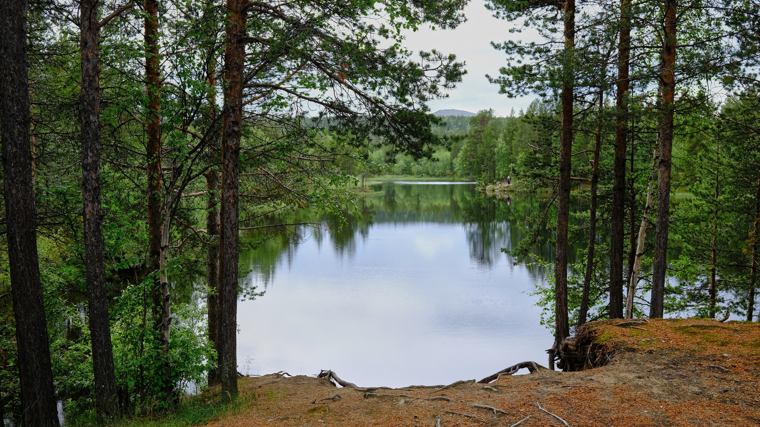 Водоемы. Пейзажи Крайнего Севера. Баренцево море, Рыбачий, Средний, Немецкий
