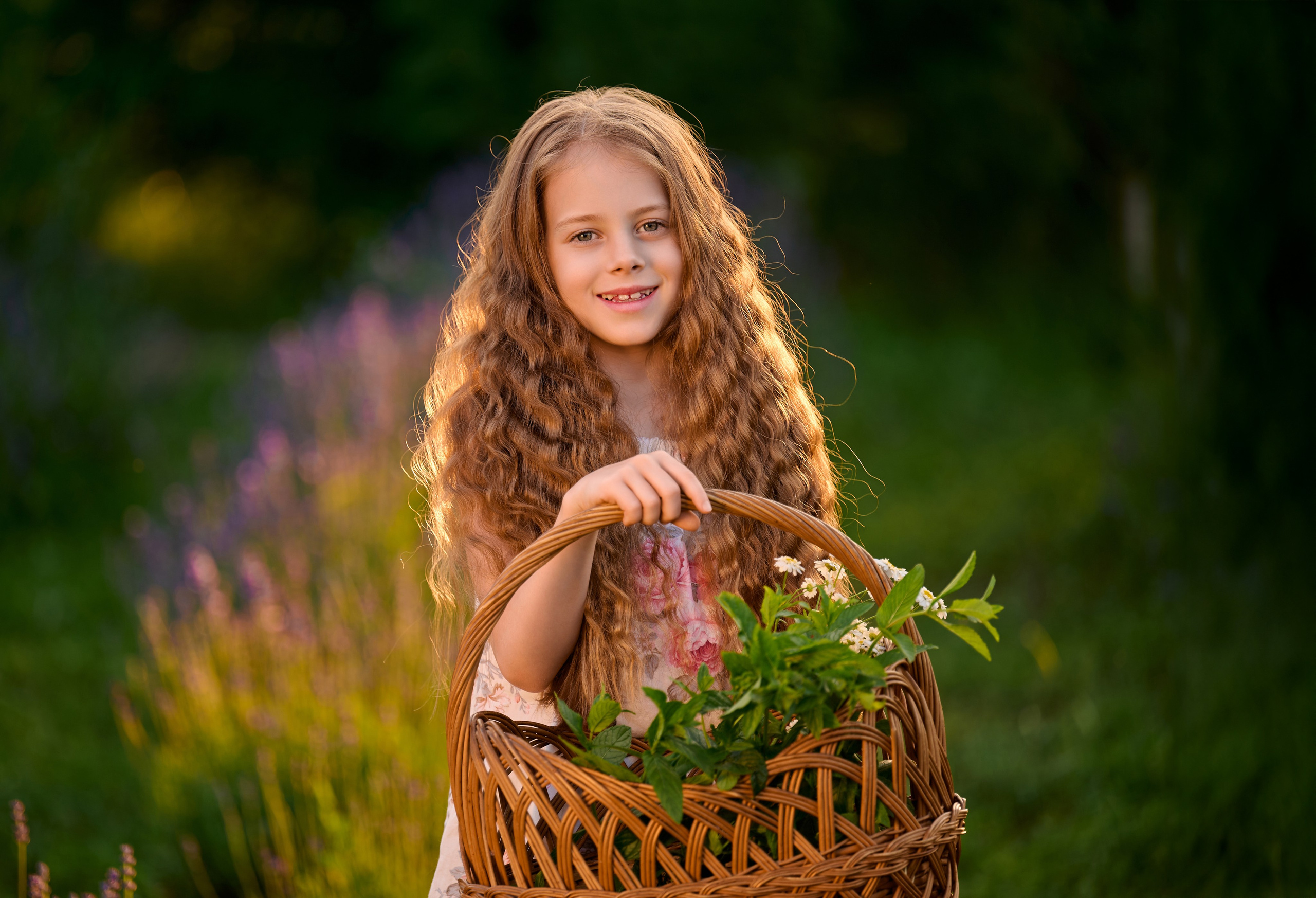 Лаванда на закате. Свадебный, семейный фотограф в Краснодаре