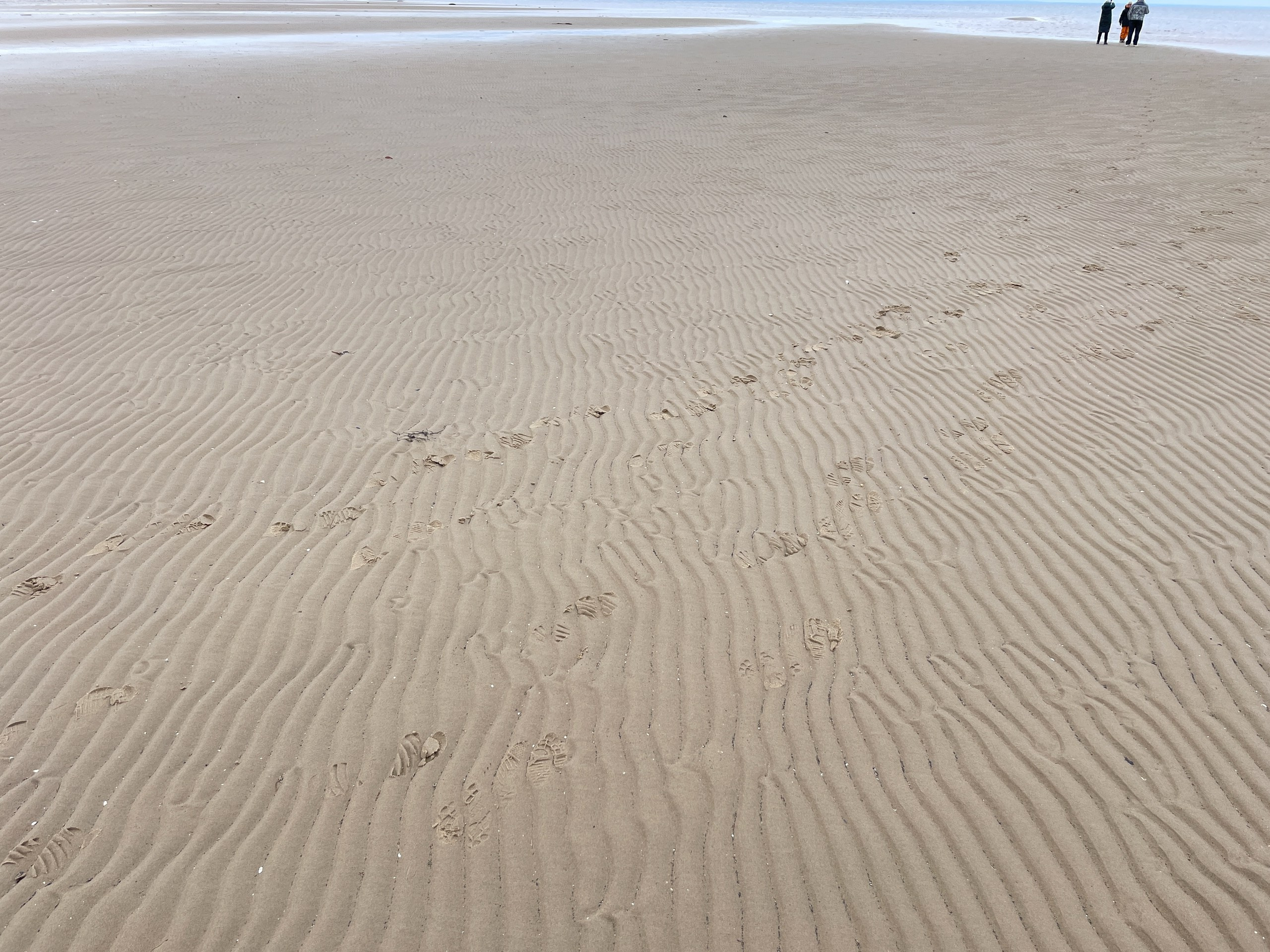 Архангельск | 08.05 — 11.05.2025. Галерея Фантим