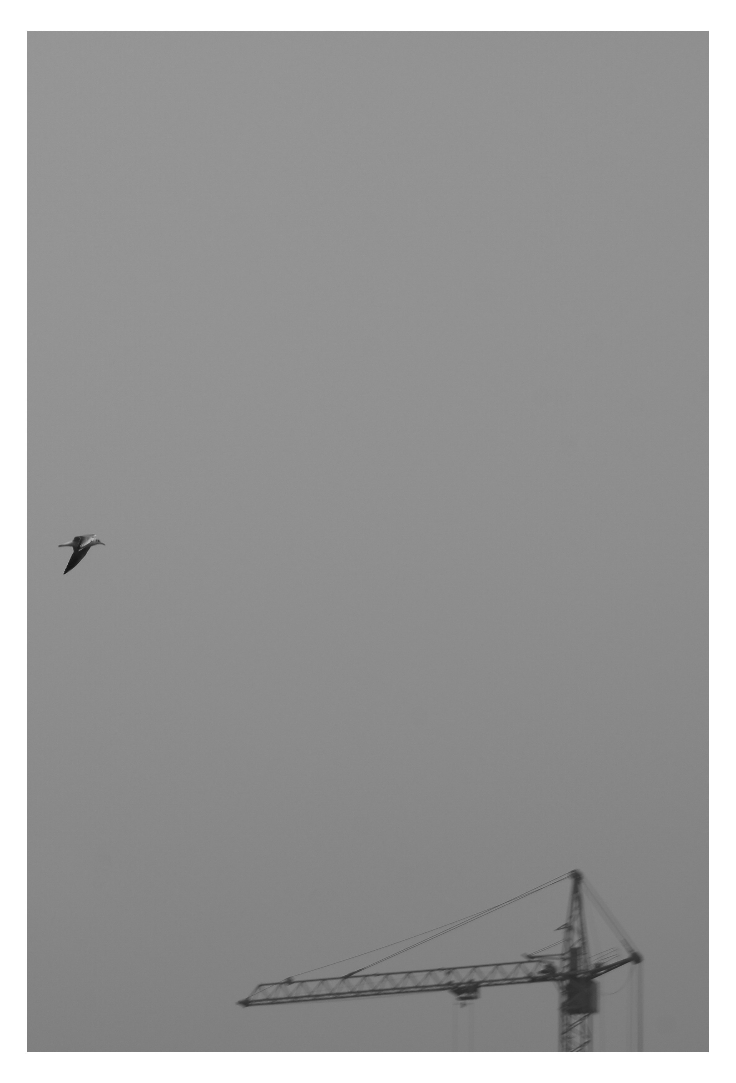 MIASS. Photographer Manakova Olga