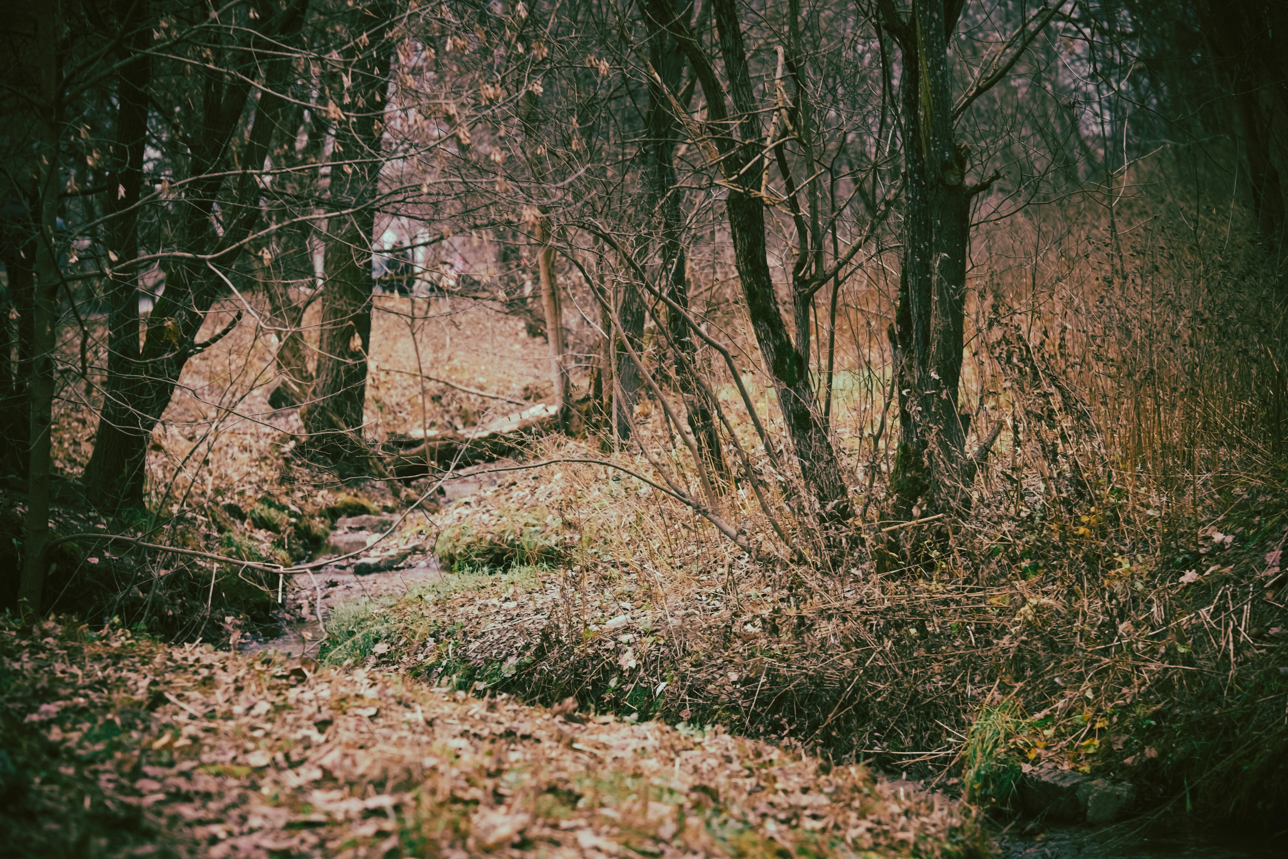 Винтажная прогулка. KRUTOVA_фотографирую жизнь