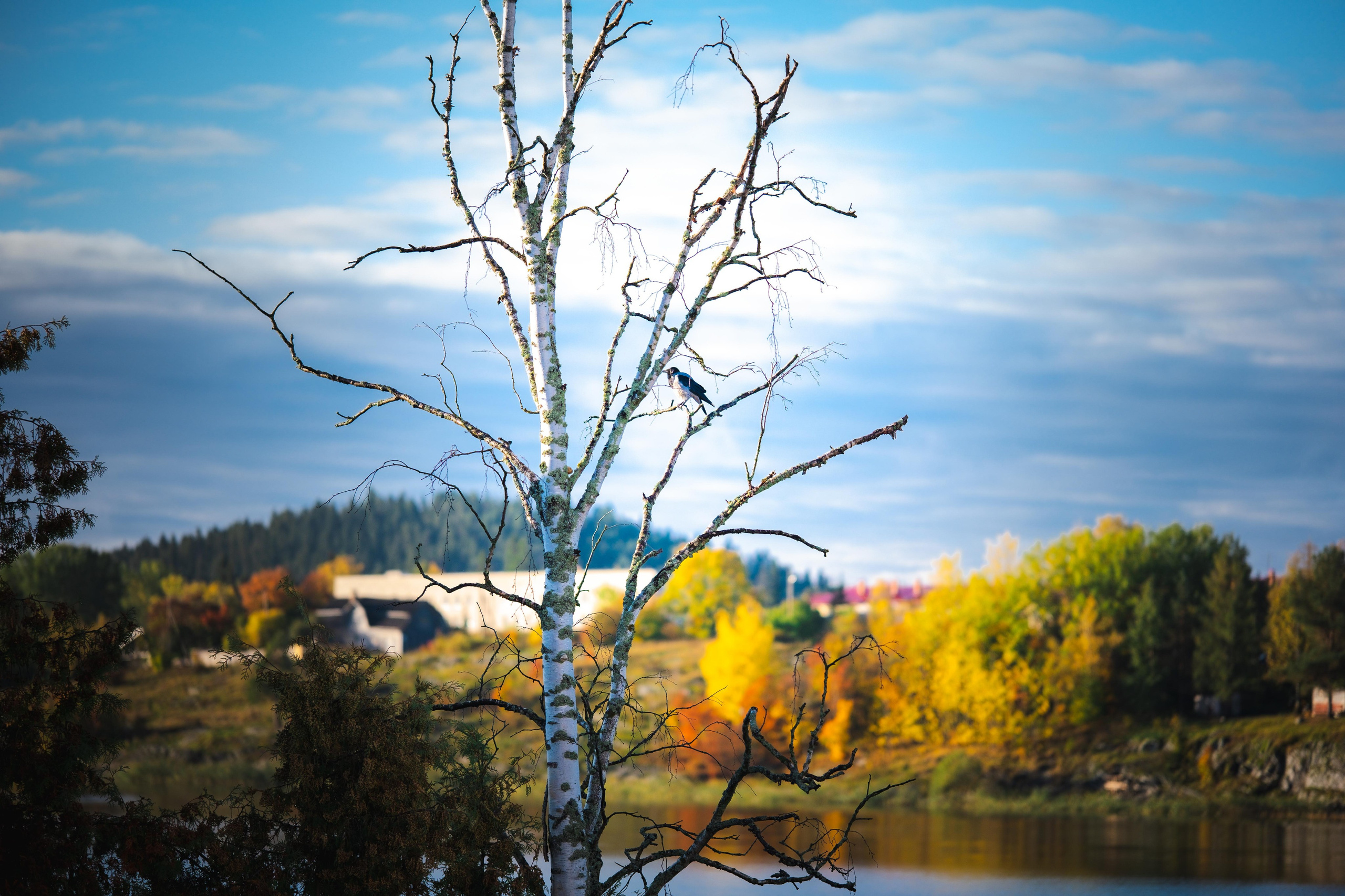 Город. KRUTOVA_фотографирую жизнь