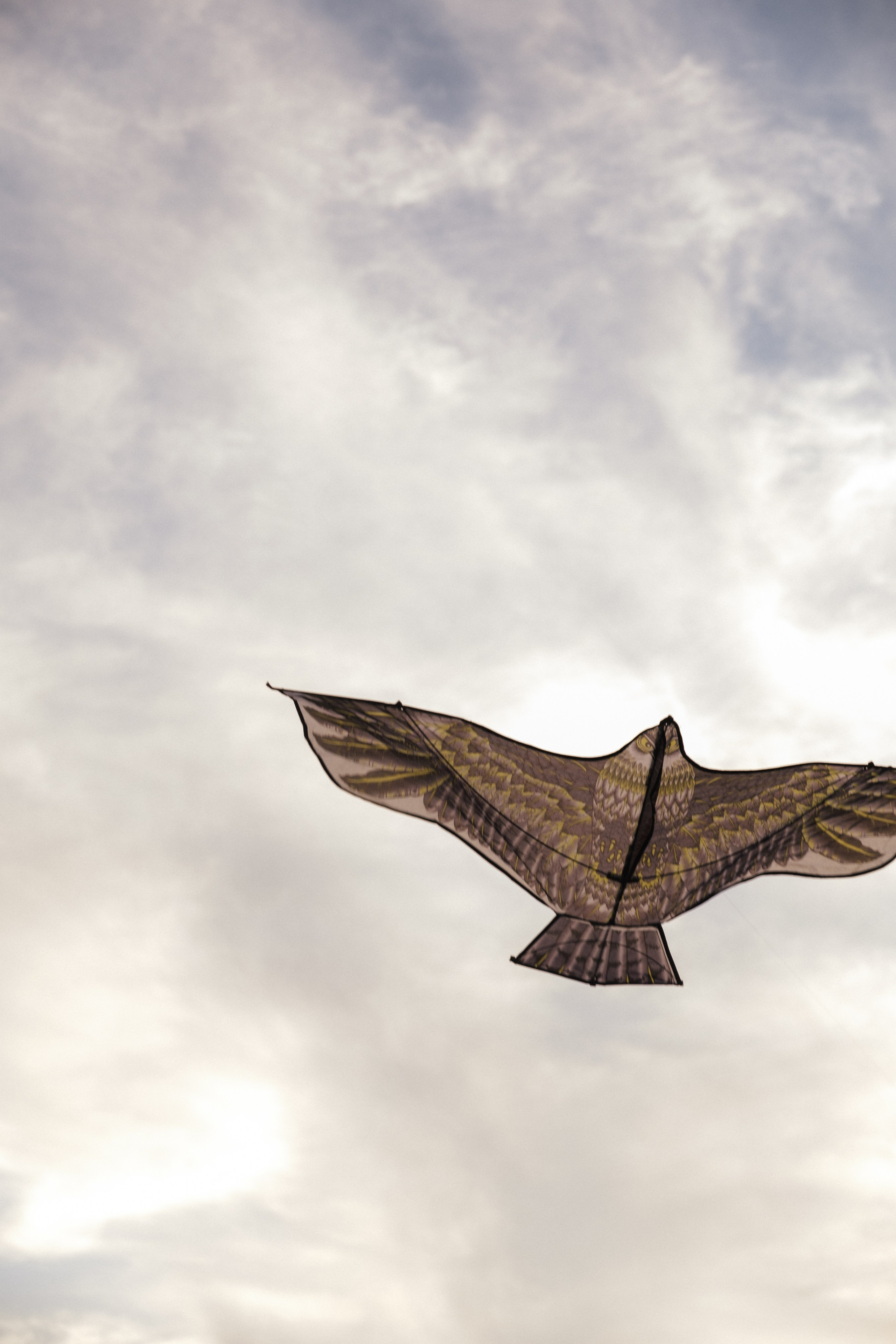 Юлия и София. Свадебный и семейный фотограф в Волгограде