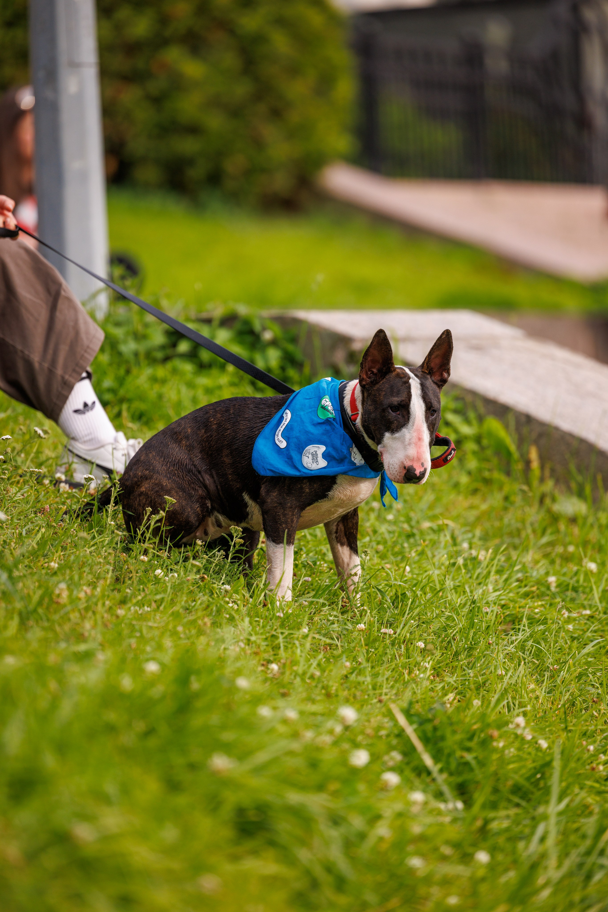 PetShopDays2026. Фотограф Александр Заломаев
