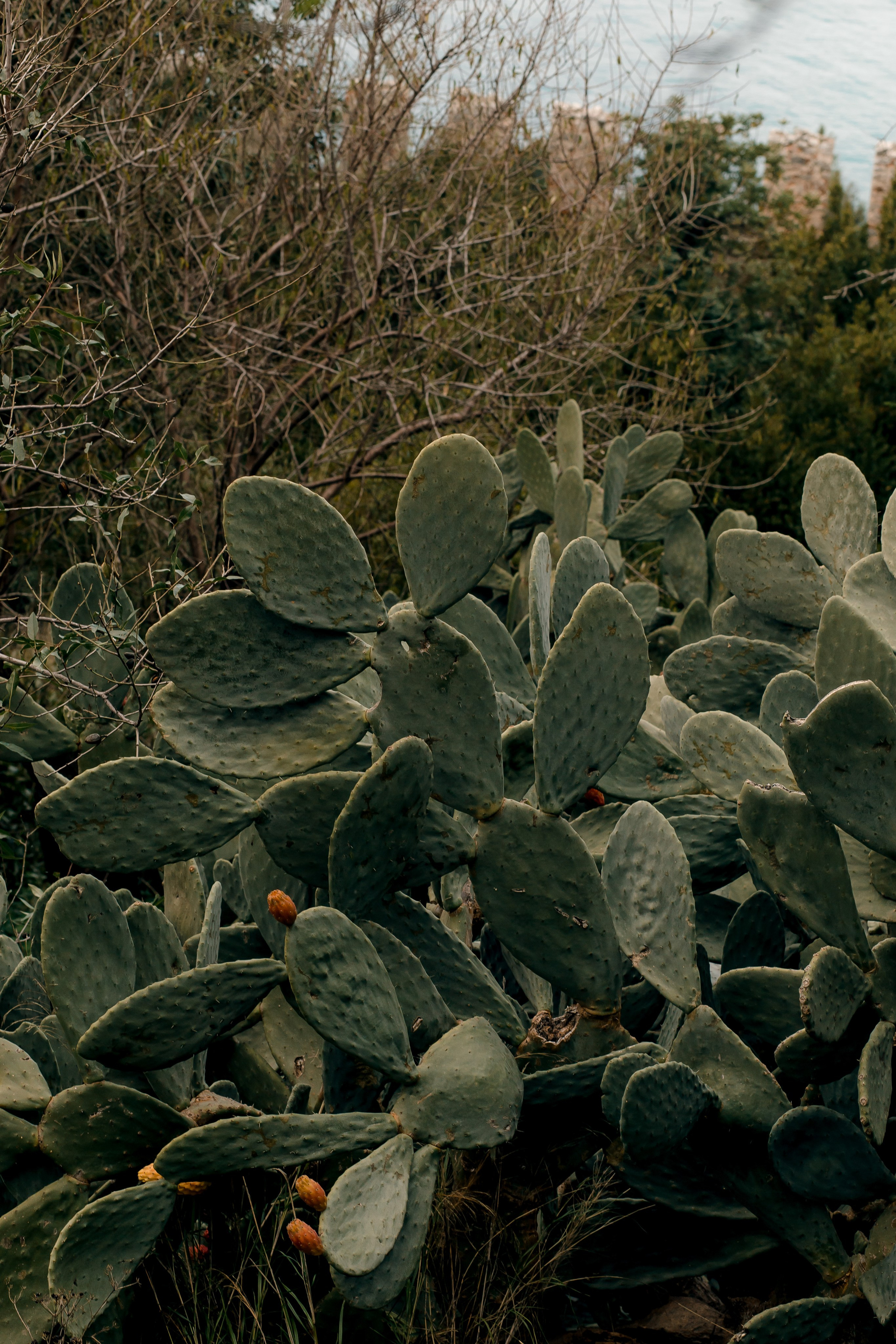 Turkey, Alanya. Art Photographer