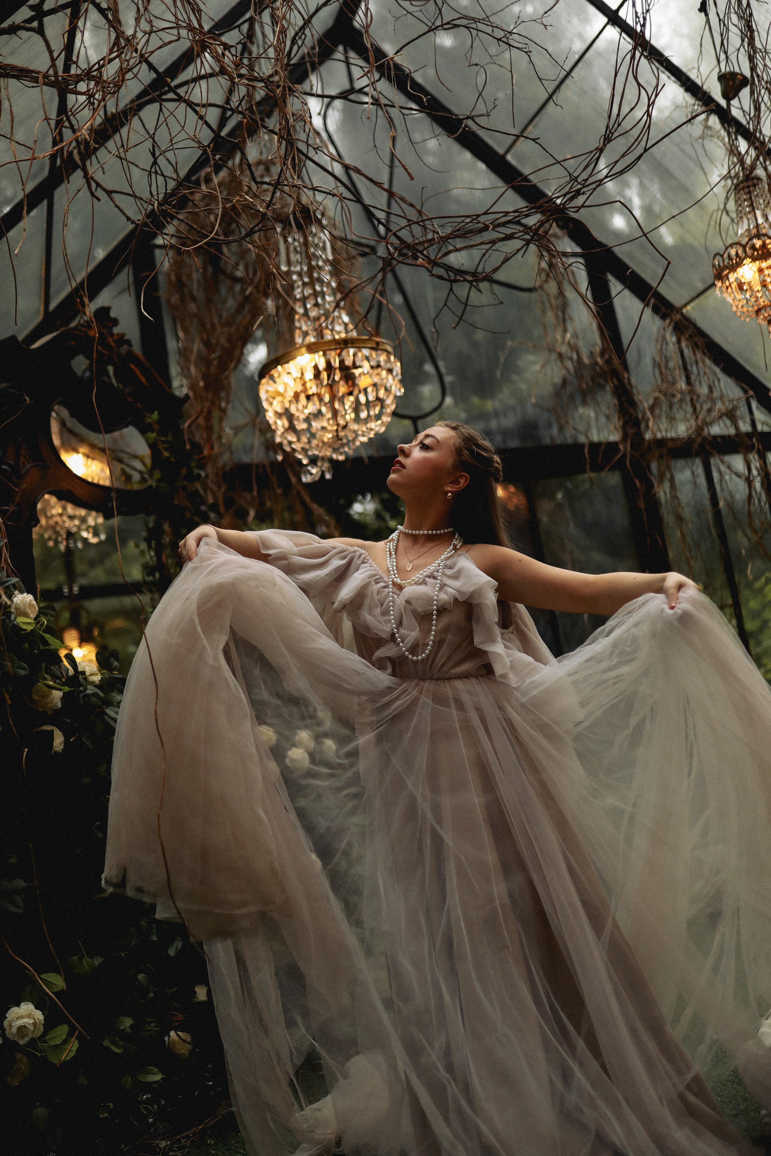 Зачарованный лес