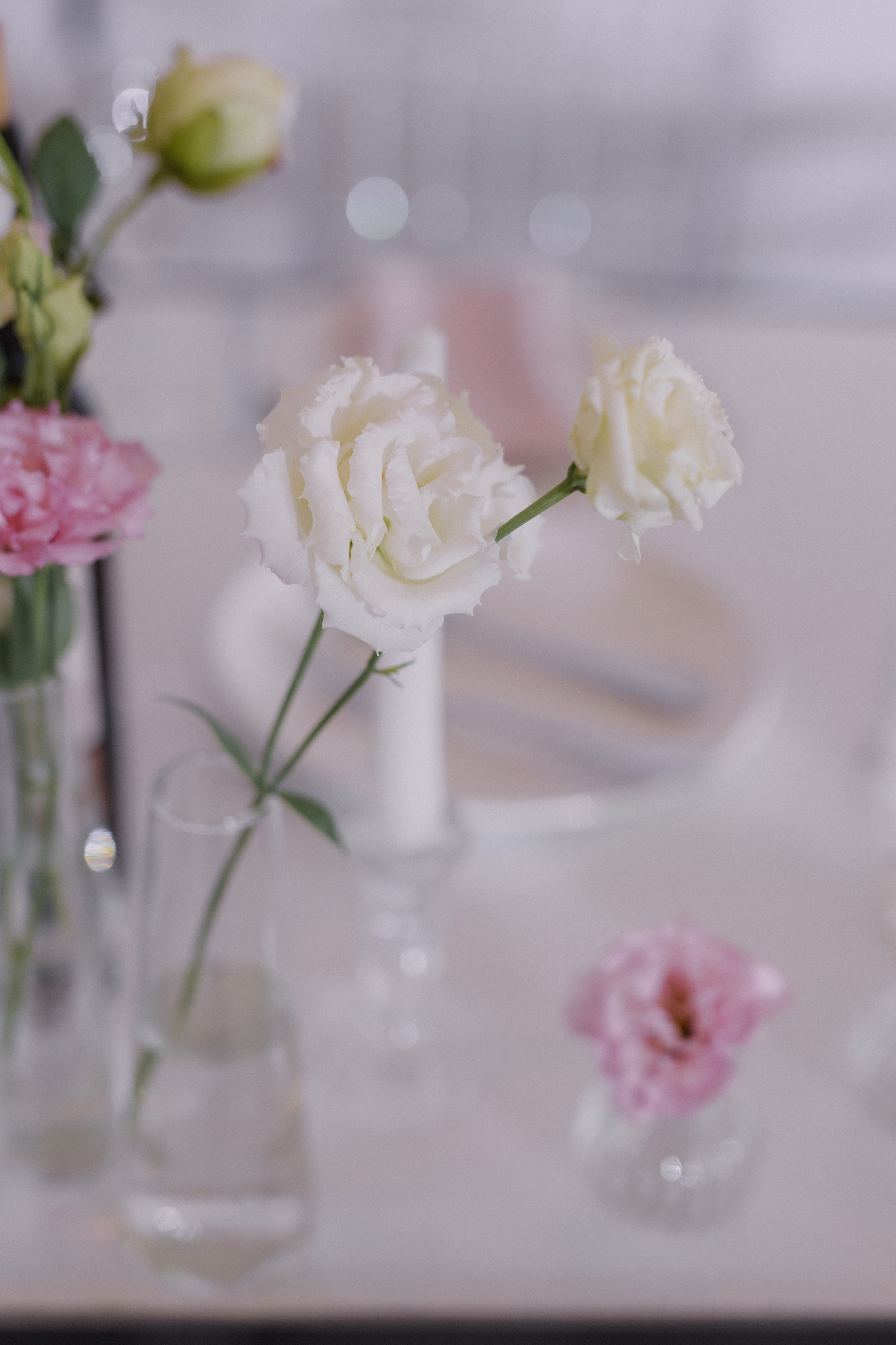 P & L. Свадебный и семейный фотограф в Астрахани Сергунова Наталья