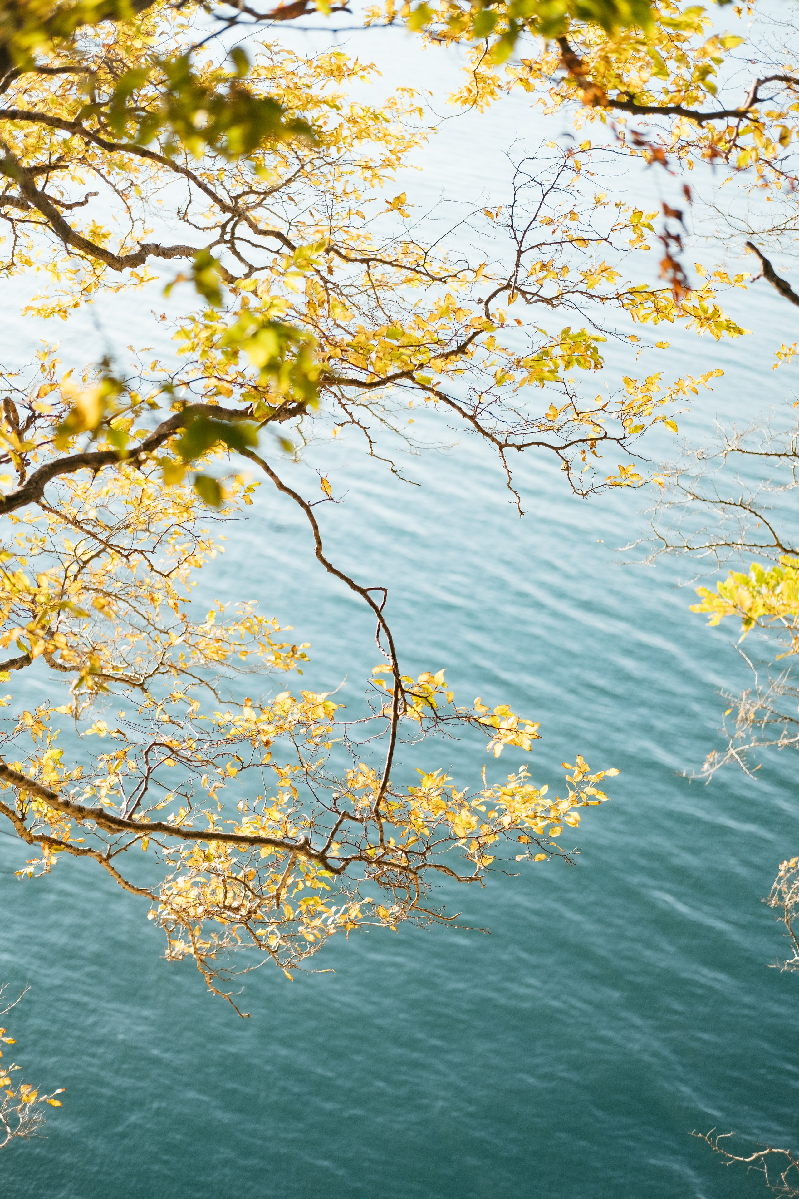 Туапсе. Свадебный Видеограф Фотограф в Сочи