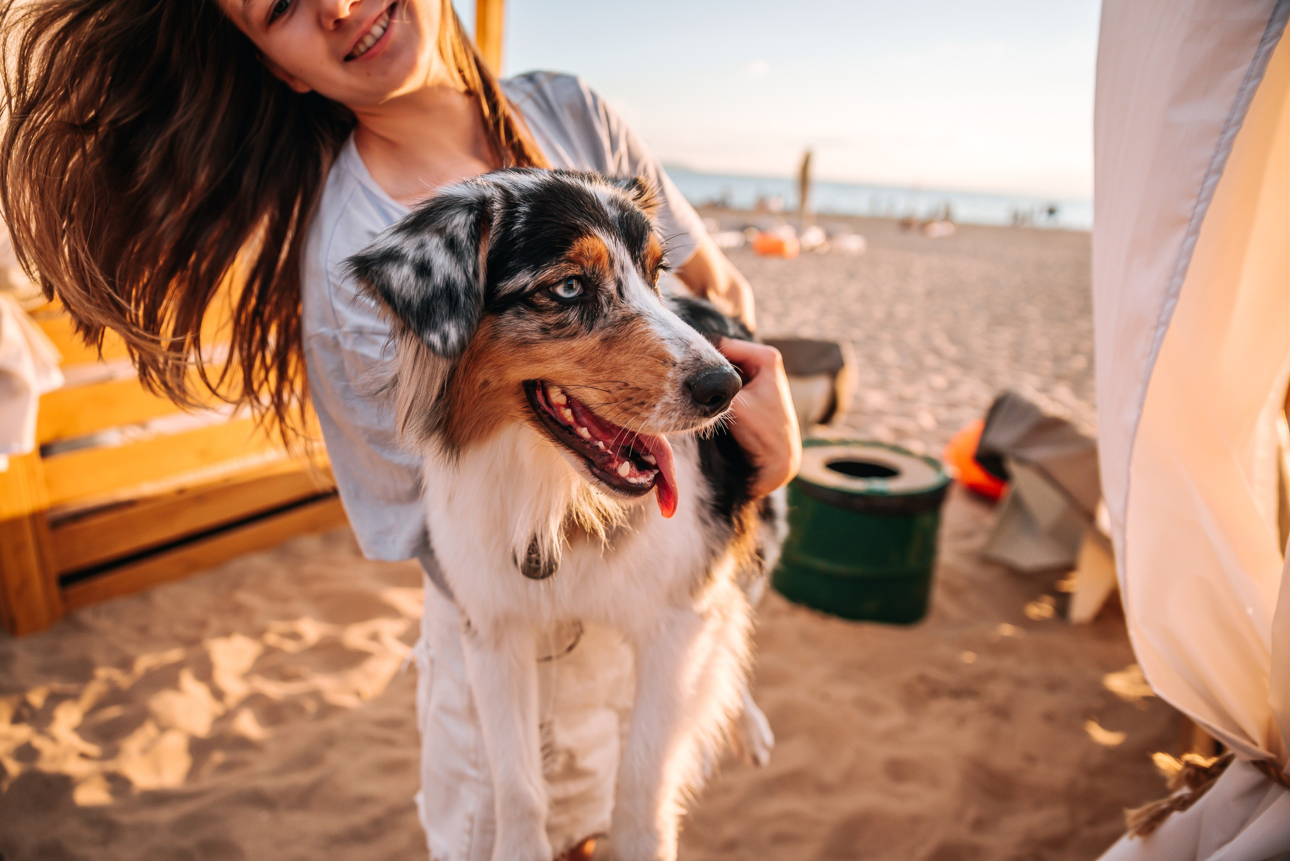 No Bad Days. Главная