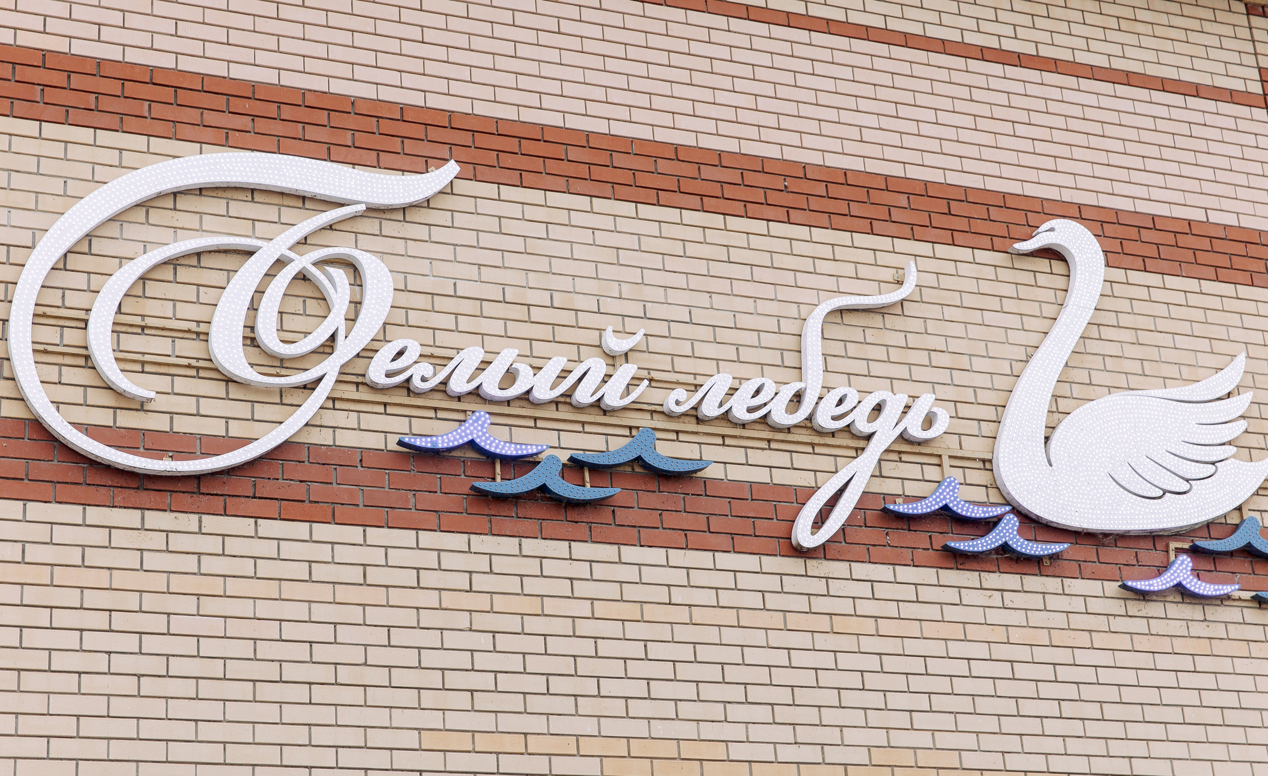 Владислава и Никита. Свадебный и семейный фотограф в Челябинске Юлия Ишимова