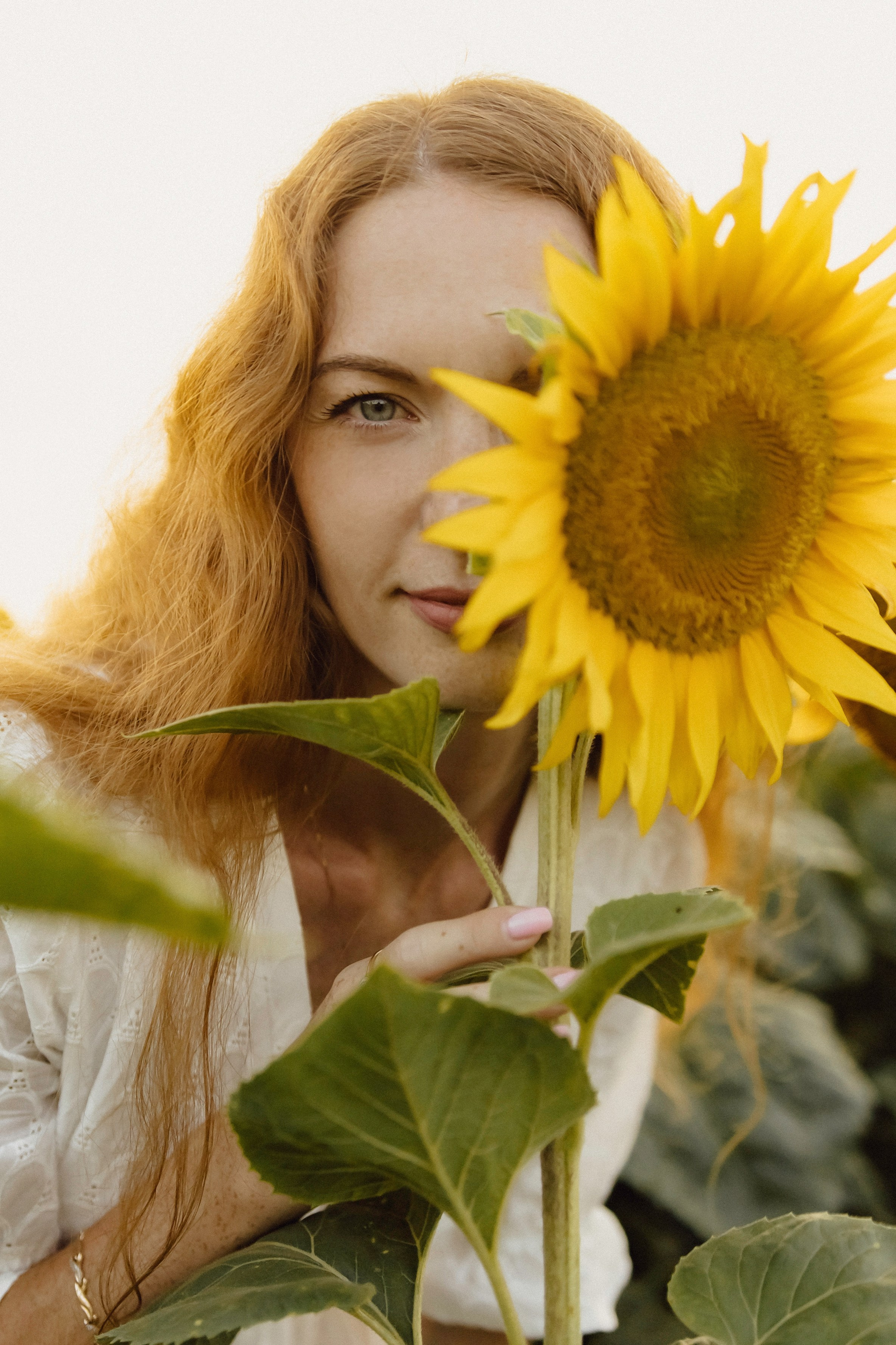 Елена в подсолнухах. Фотограф в Кирове и Кирово-Чепецке Валерия Шиляева