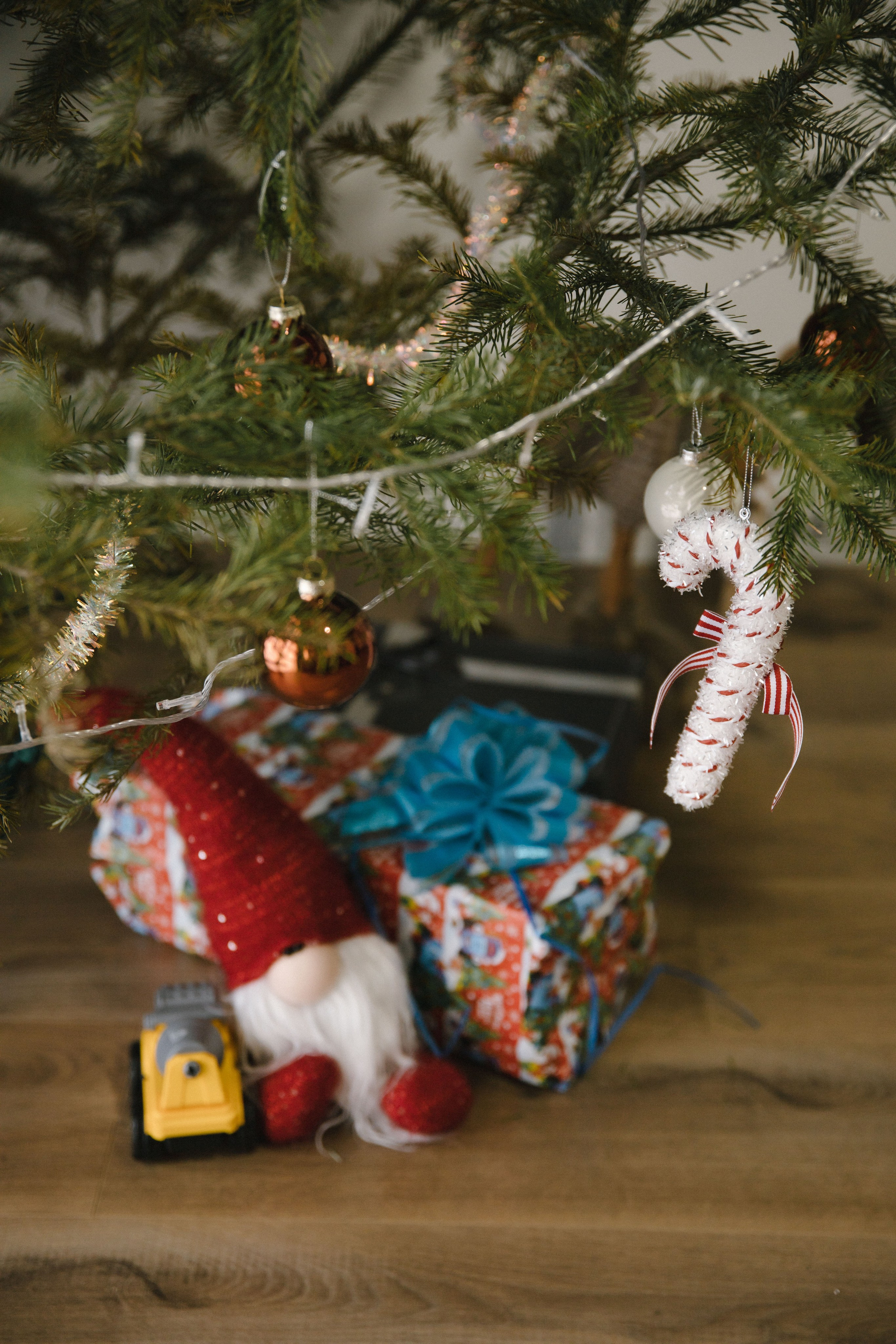 Домашняя новогодняя. Фотограф во Владивостоке Парамонова Елена