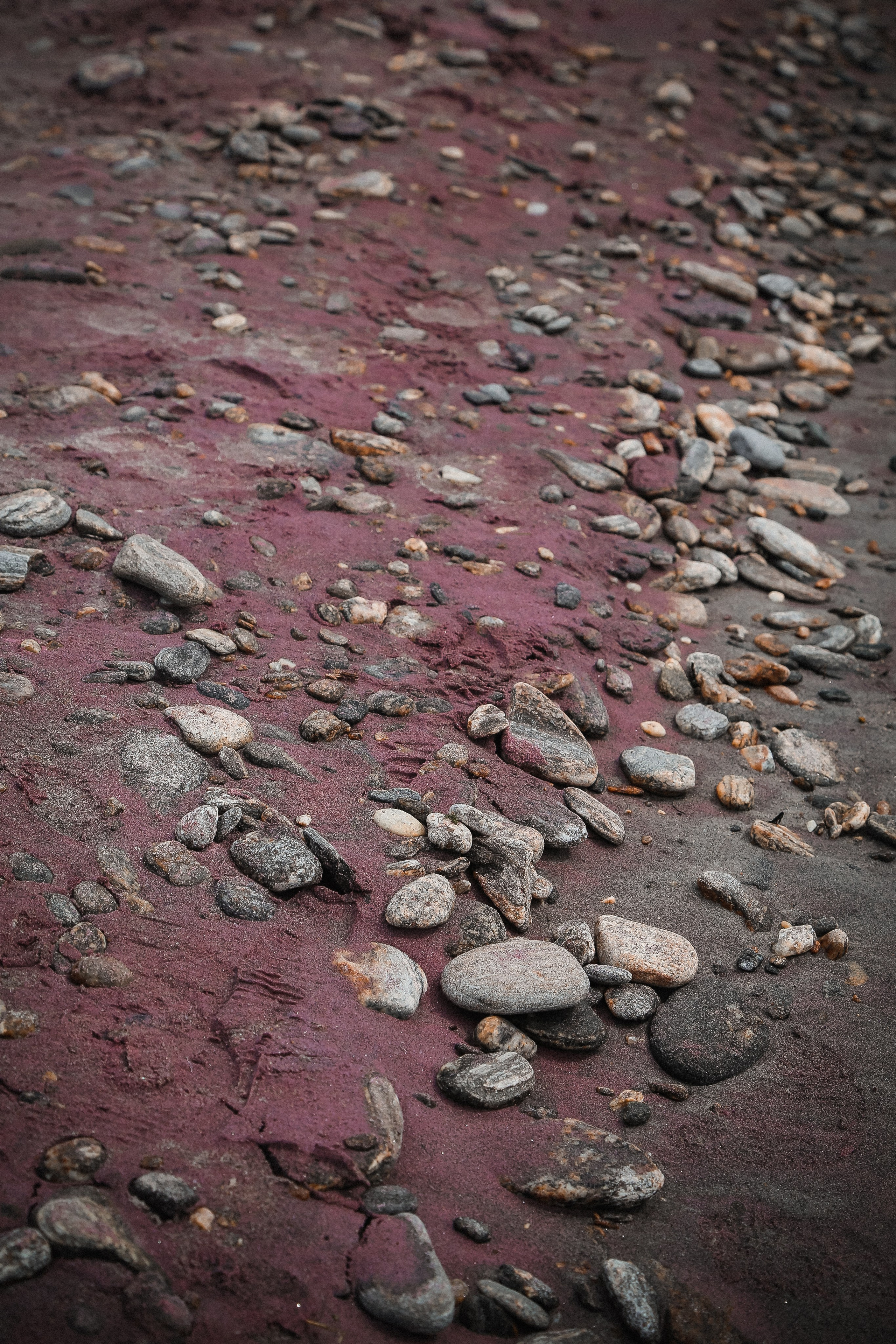 Байкал летний: легенды и святыни. Дарья Письменюк / Darya Leitstern — фотограф, музыкант, журналист, путешественник