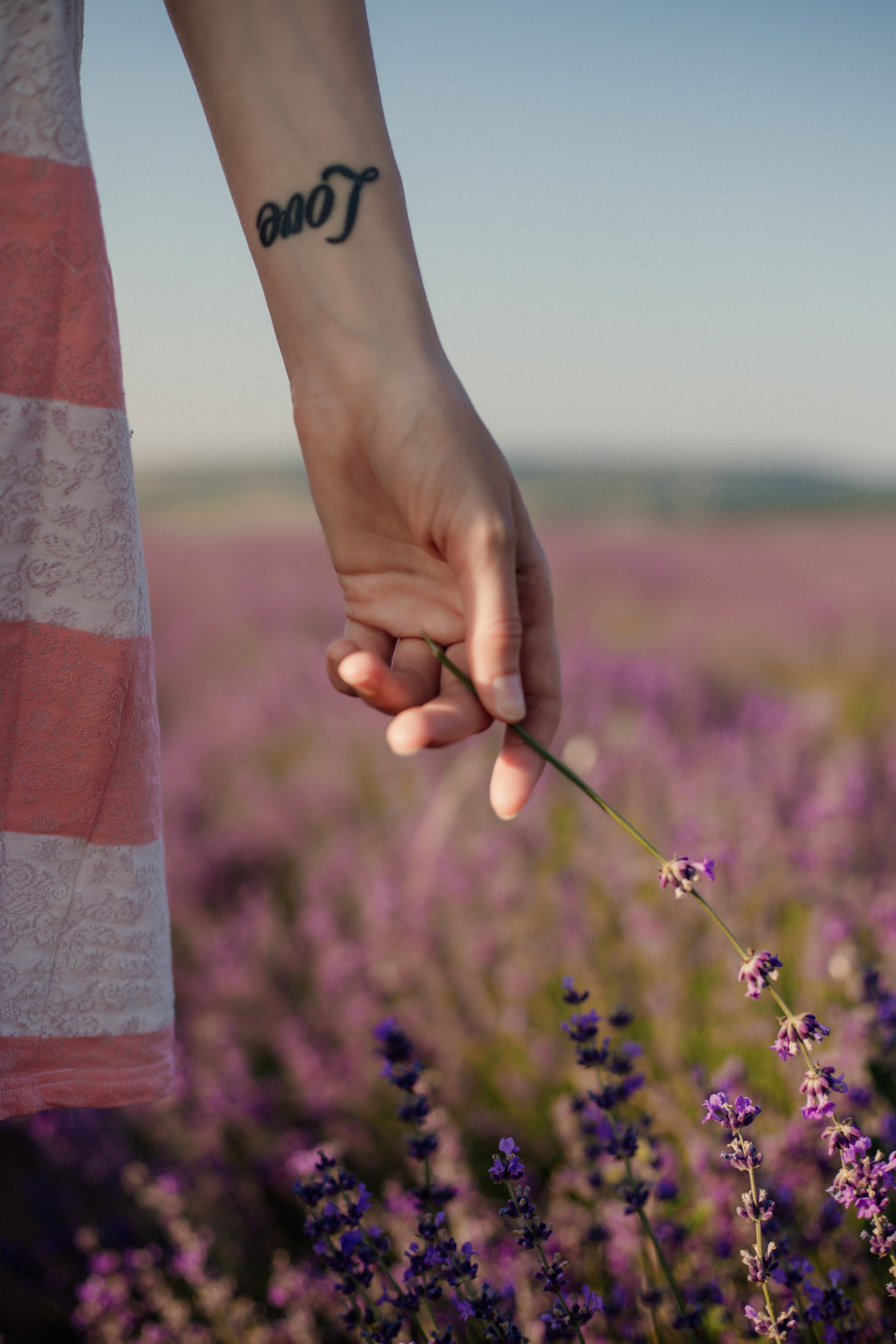 Лаванда. Фотограф и Видеограф Севастополь Крым