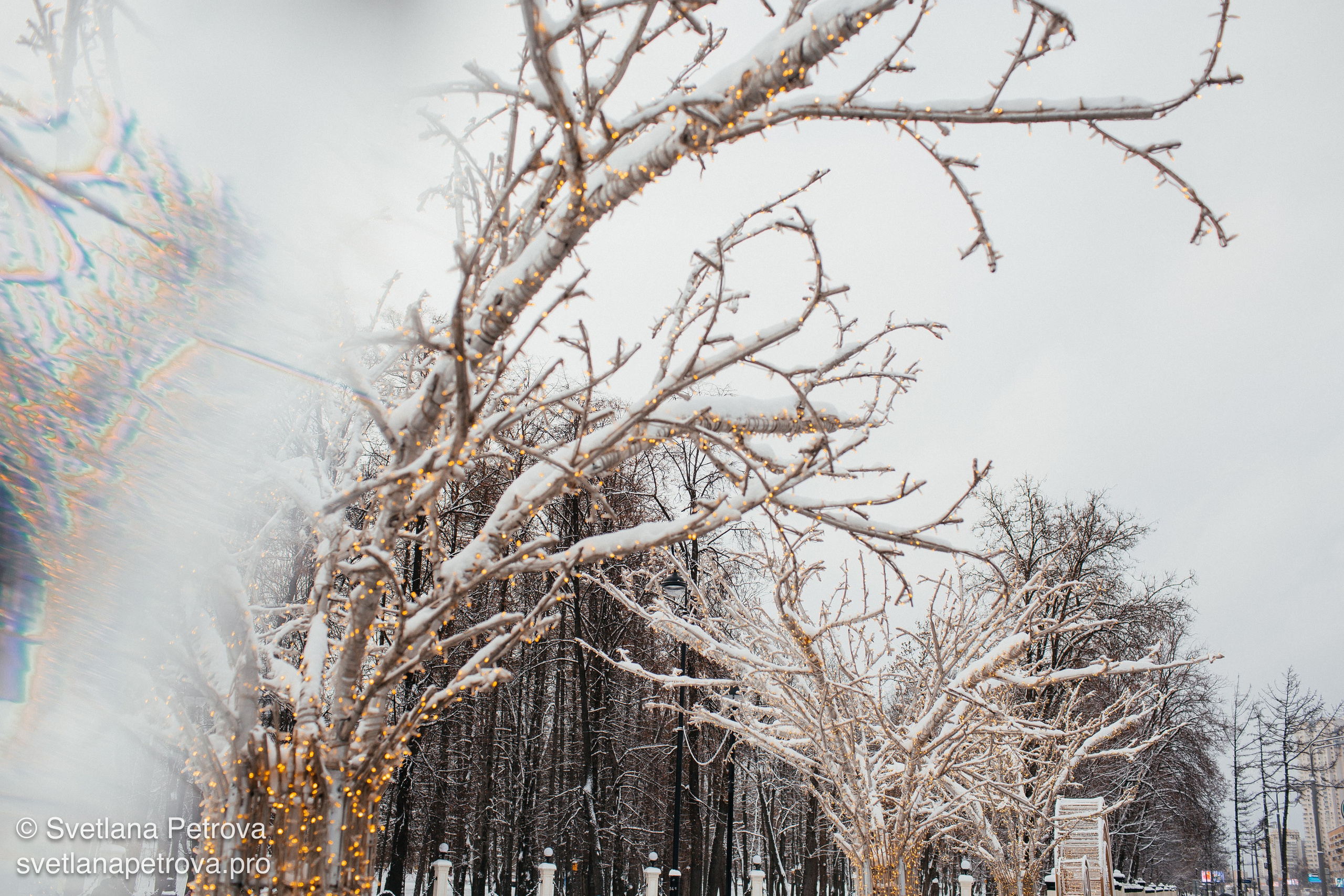 Новогодние Локации 1 января 2026. Фотограф Светлана Петрова