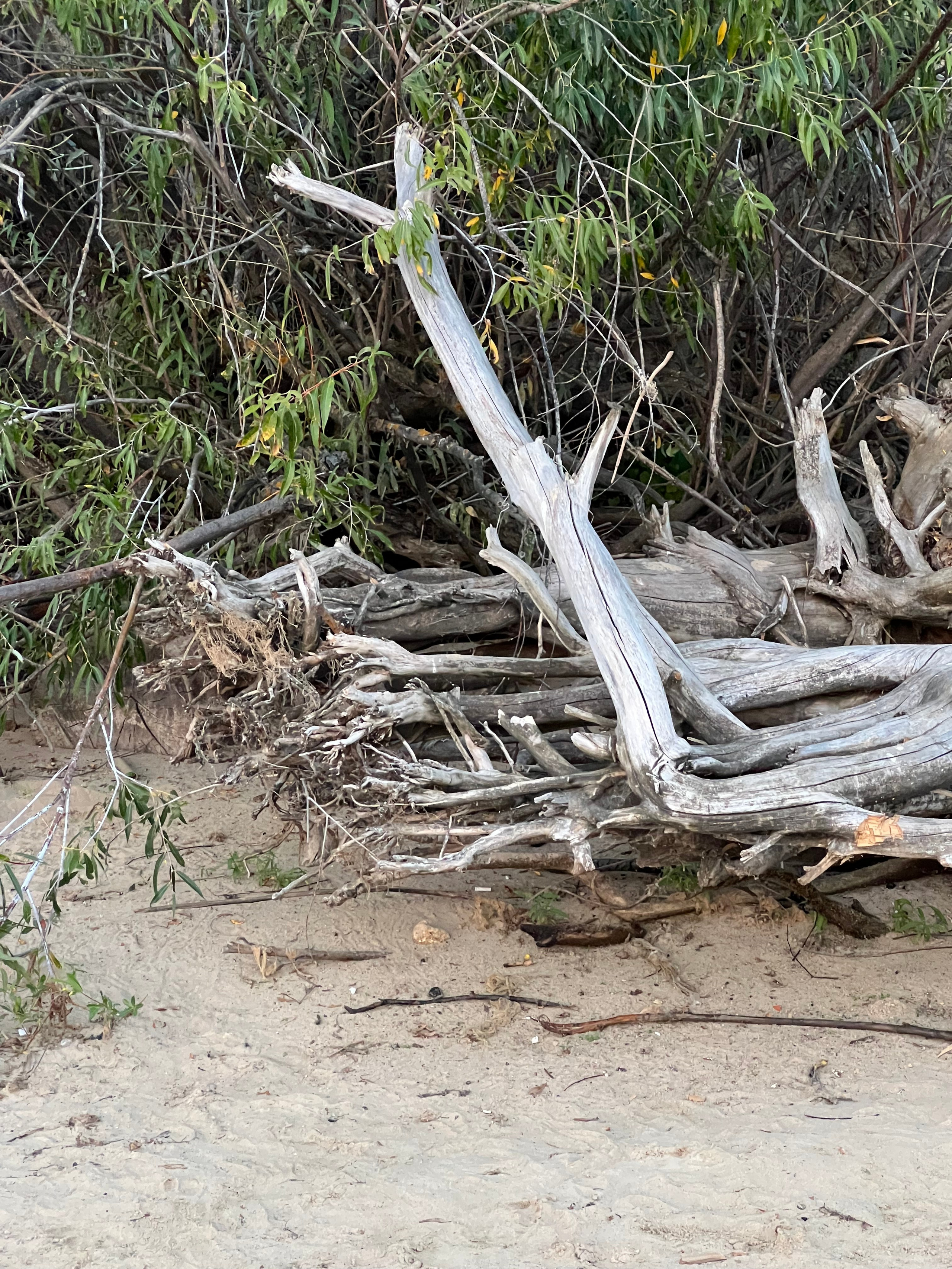 Fragments. Artem Khusainov