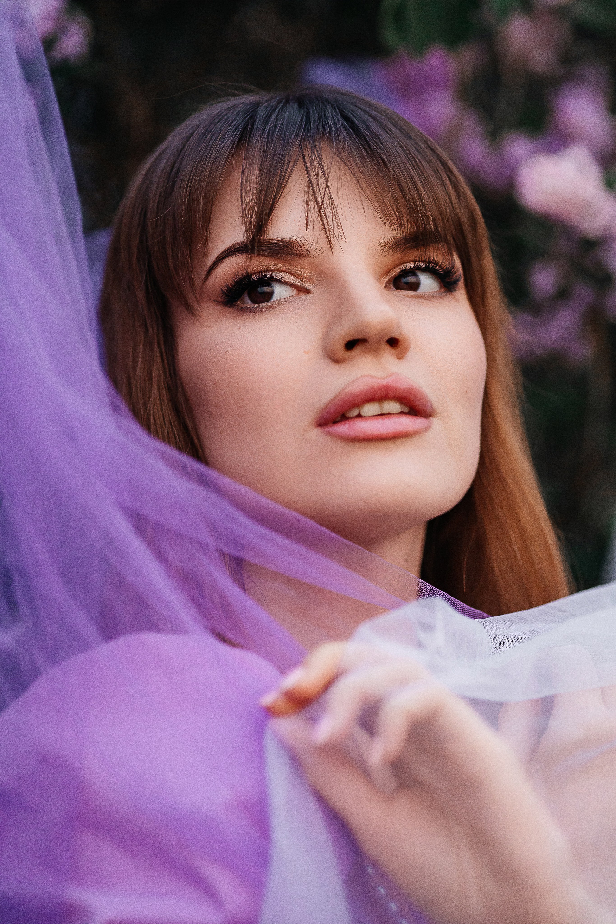 Сирень. Фотограф в Севастополе — Евгения Бойко