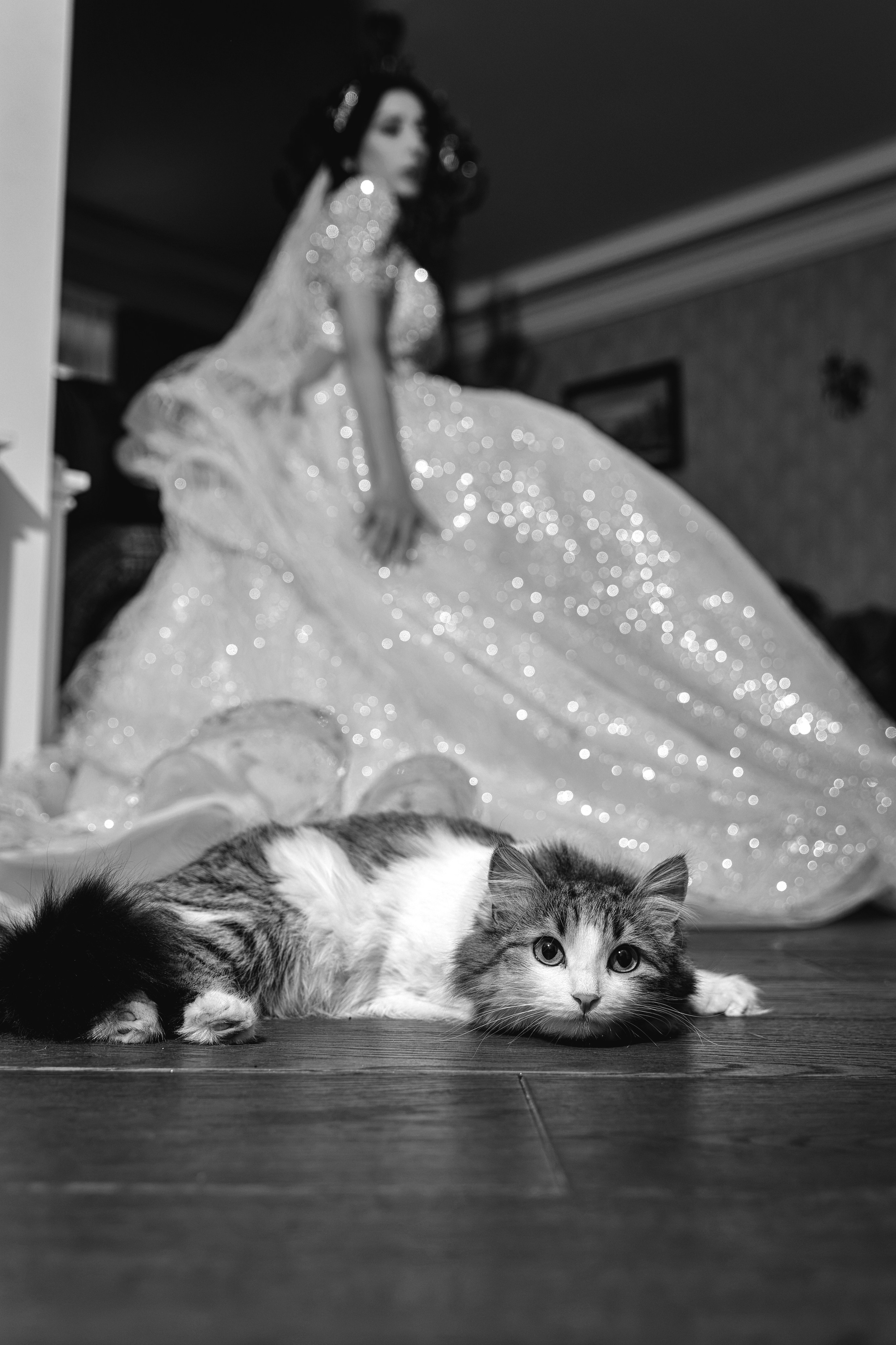 Зарина и Илья 03.02.2025. Фотограф в Самаре Максим Тырин