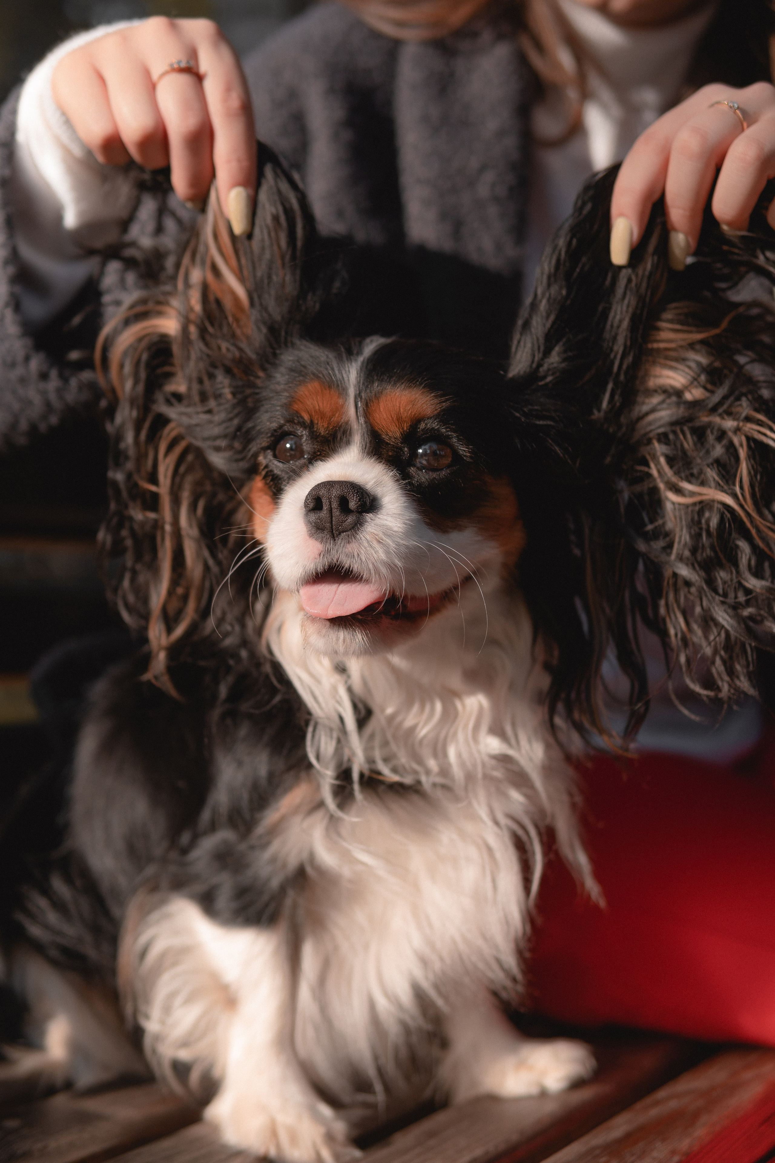 Катя и Беки: история о кофе в парке. Портретный и репортажный фотограф в Воронеже: Анастасия Пузикова